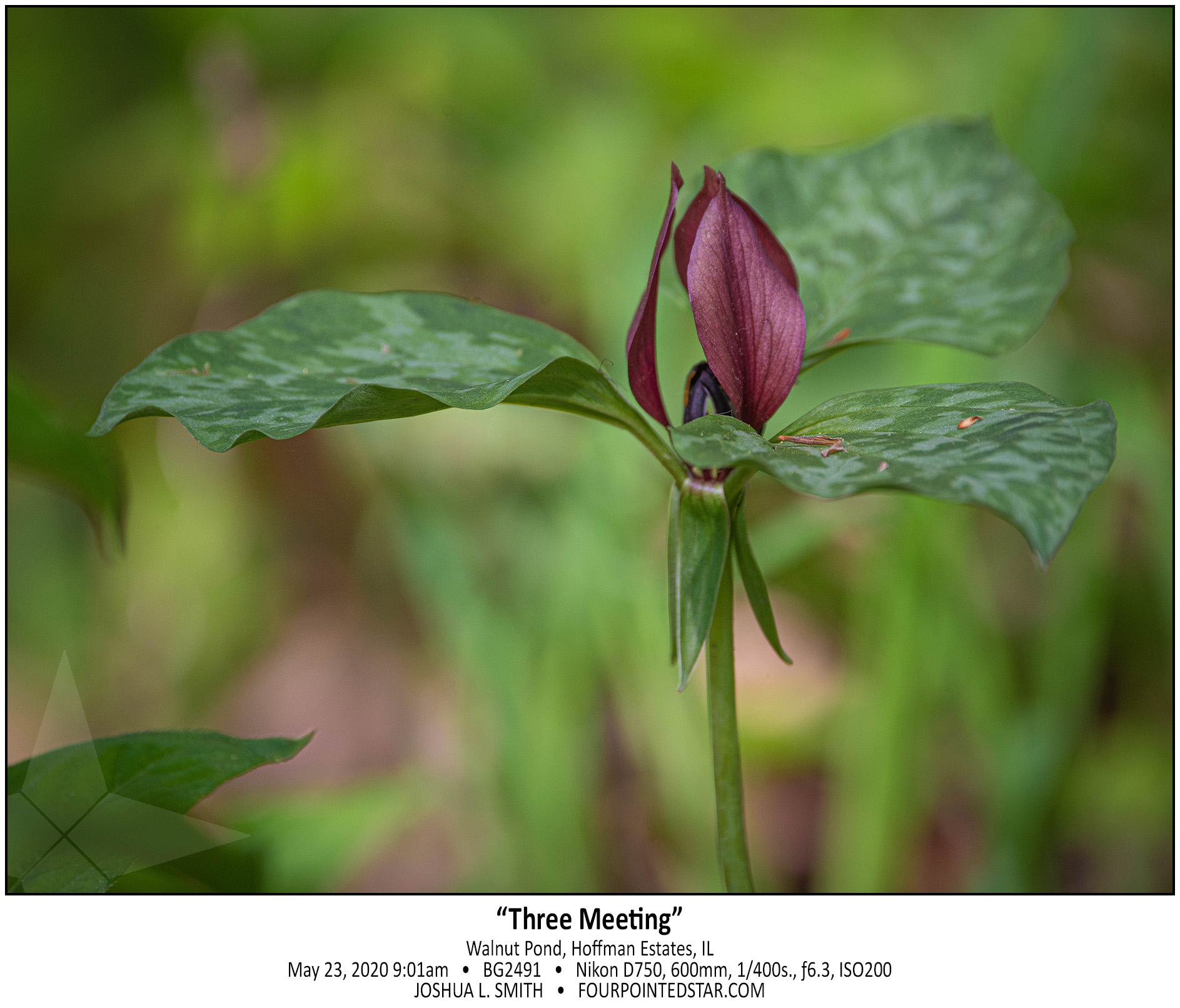 BG2491 200523 090134