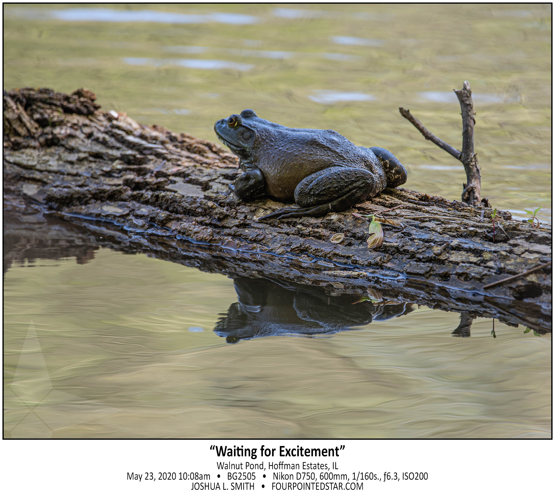 BG2505 200523 100847