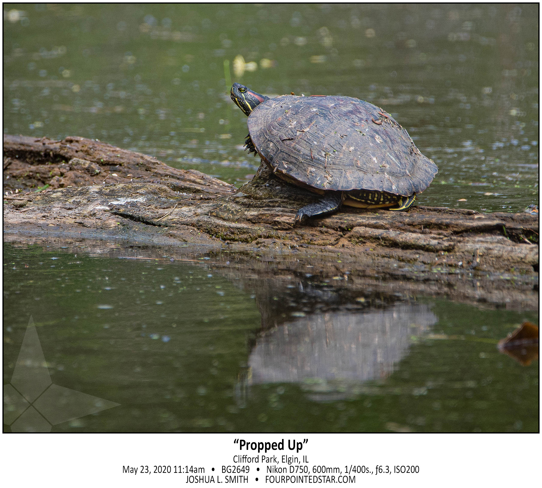 BG2649 200523 111408