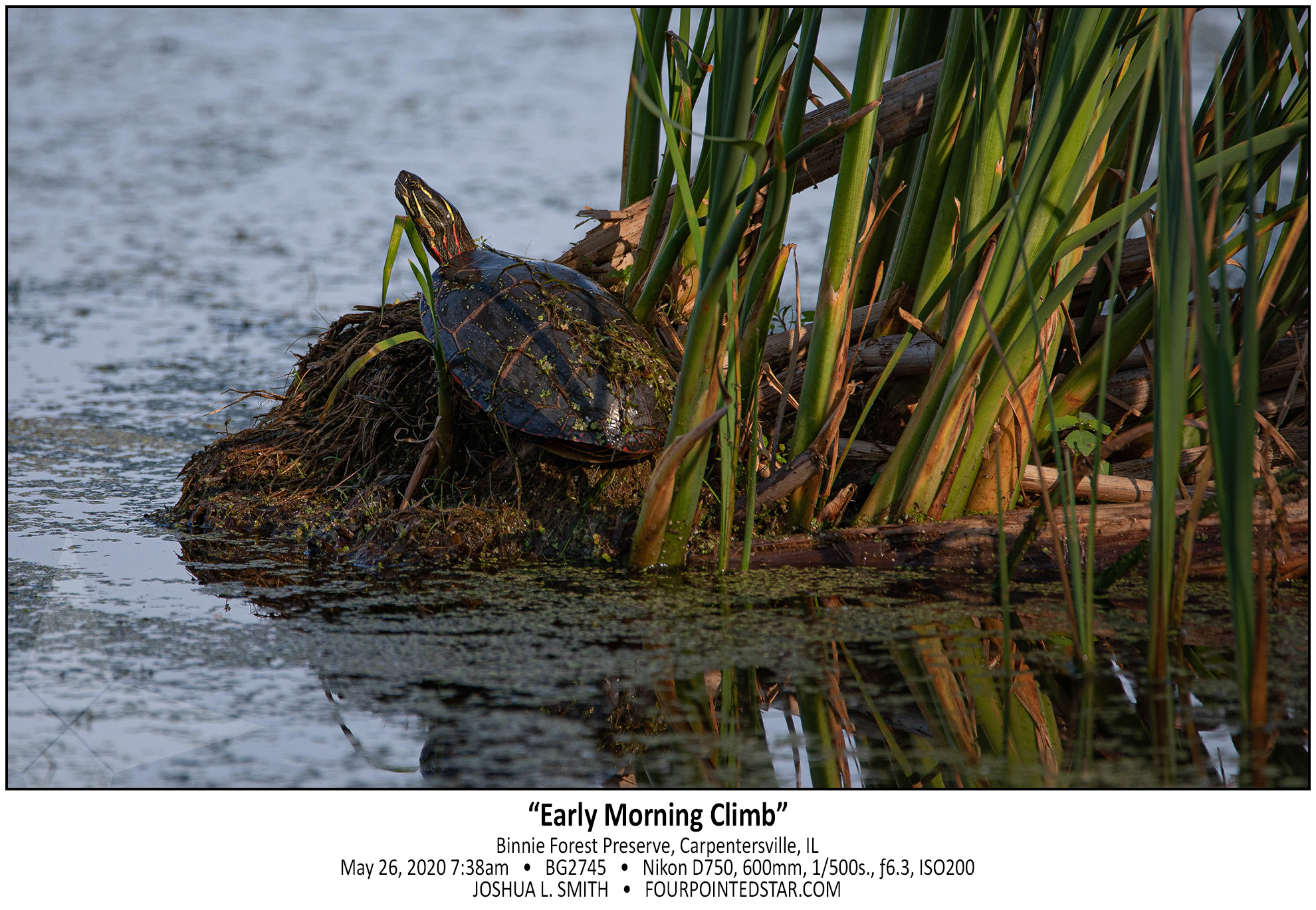 BG2745 200526 073842