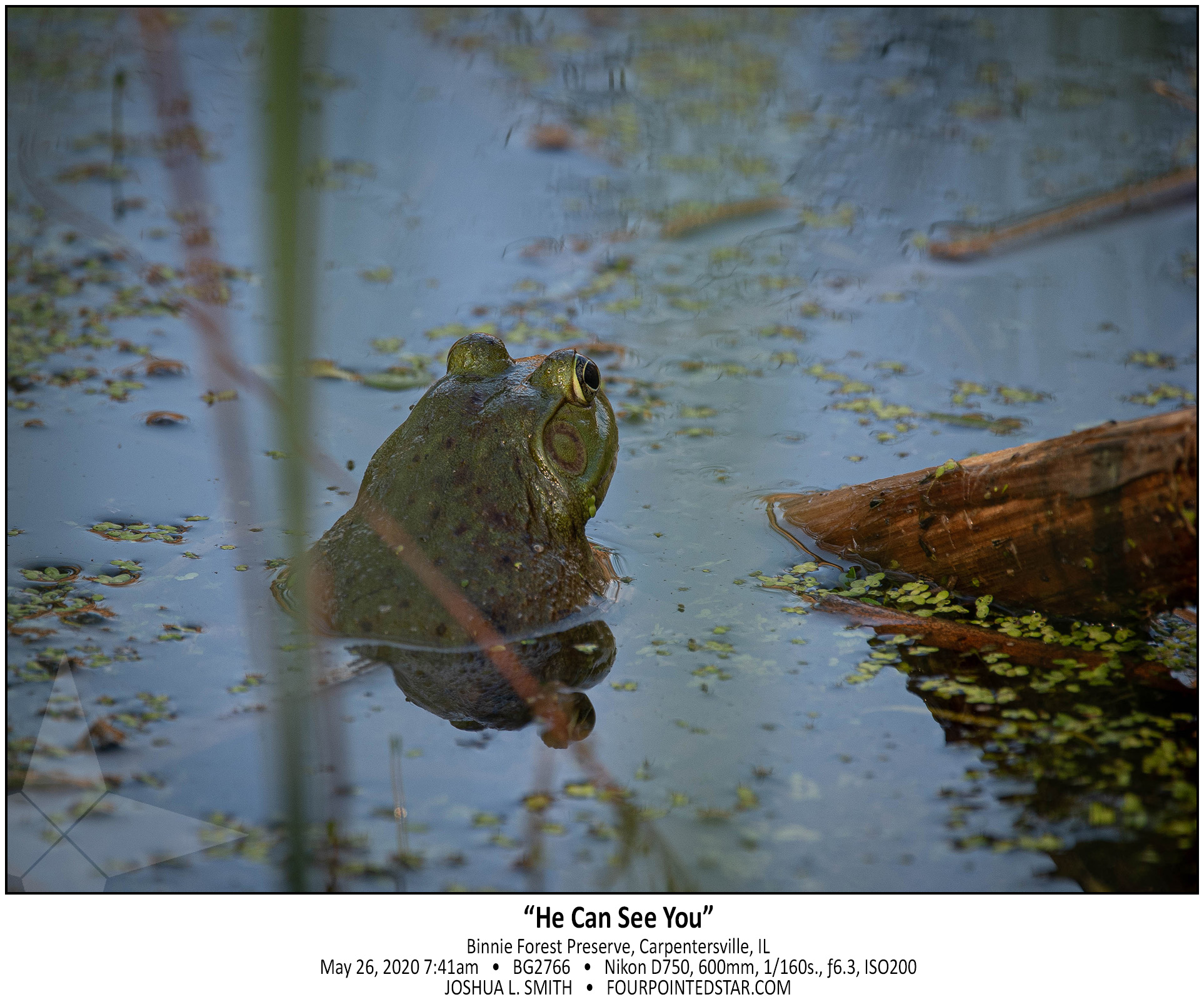 BG2766 200526 074130