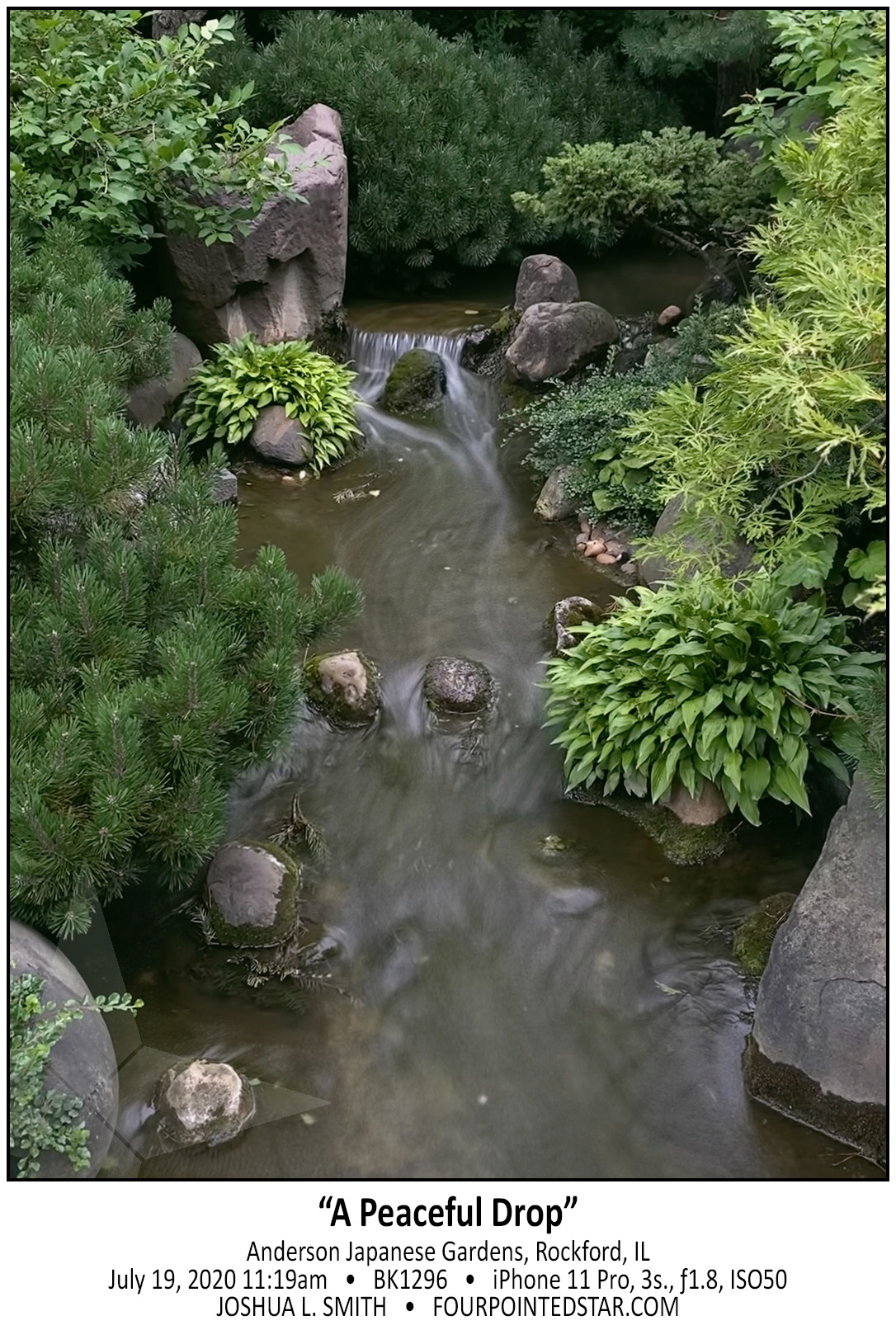 BK1296 200719 111907