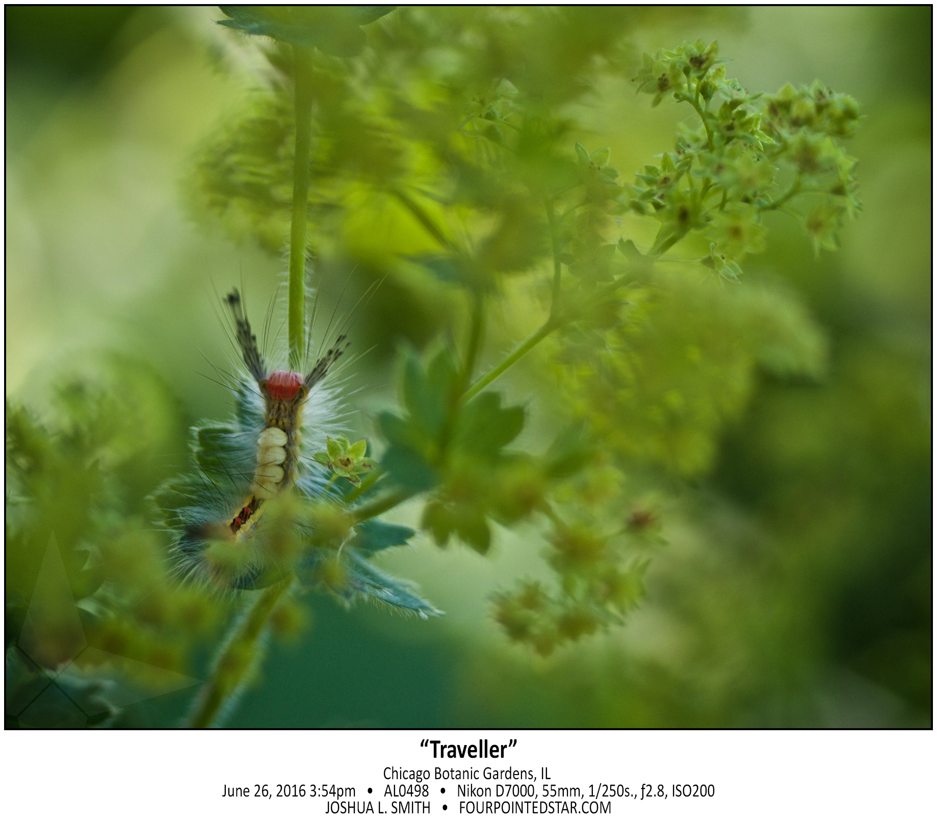 AL0498 160626 155401