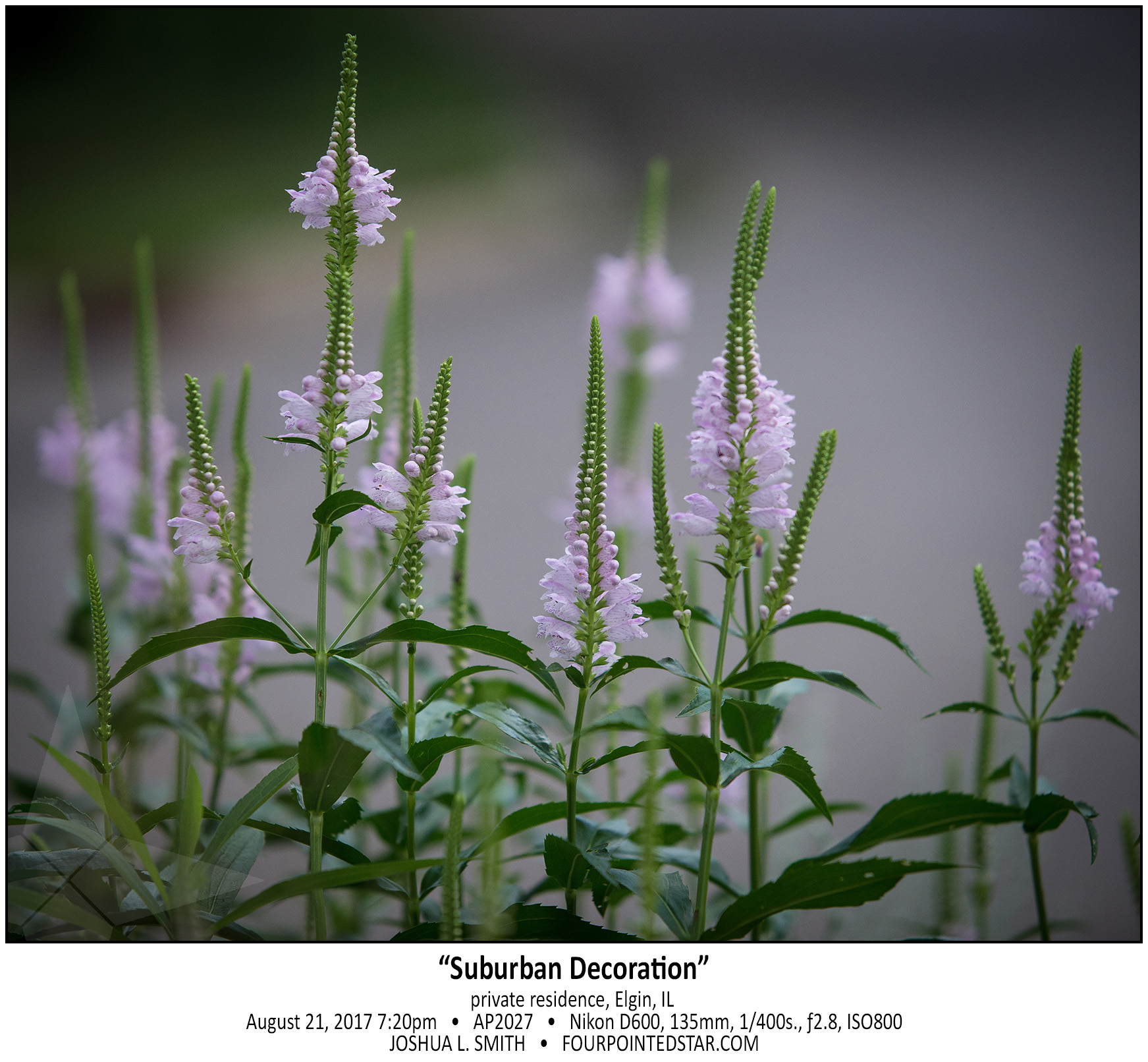 AP9106 170821 192014