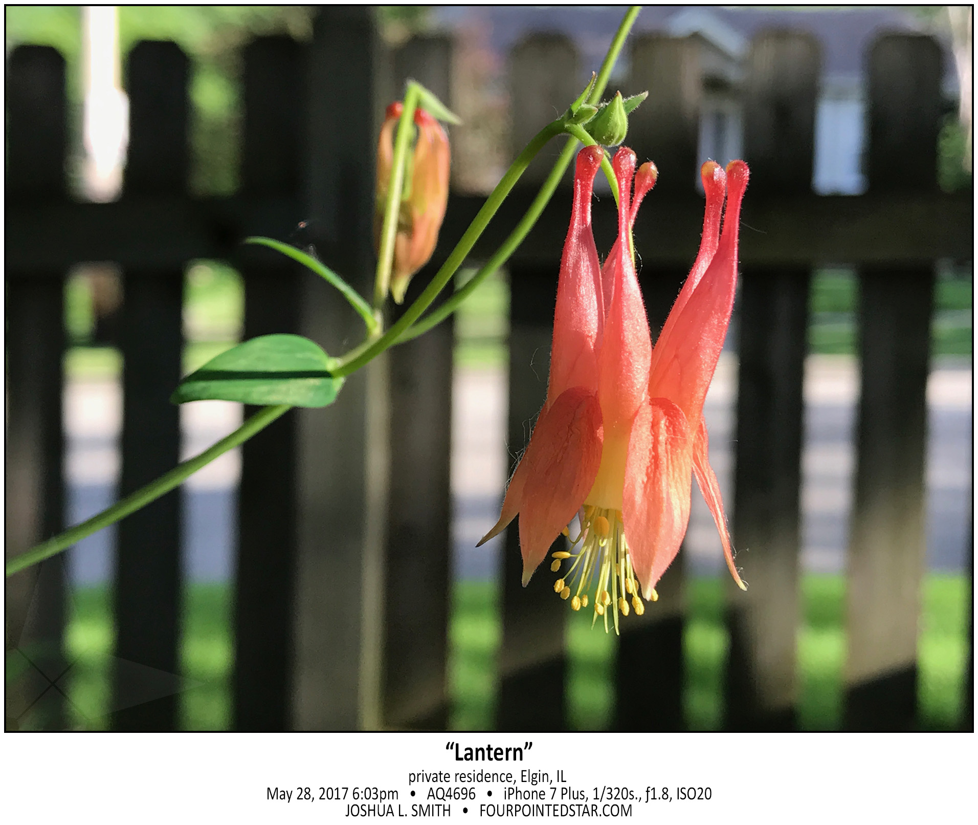 AQ4696 170528 180303 copy