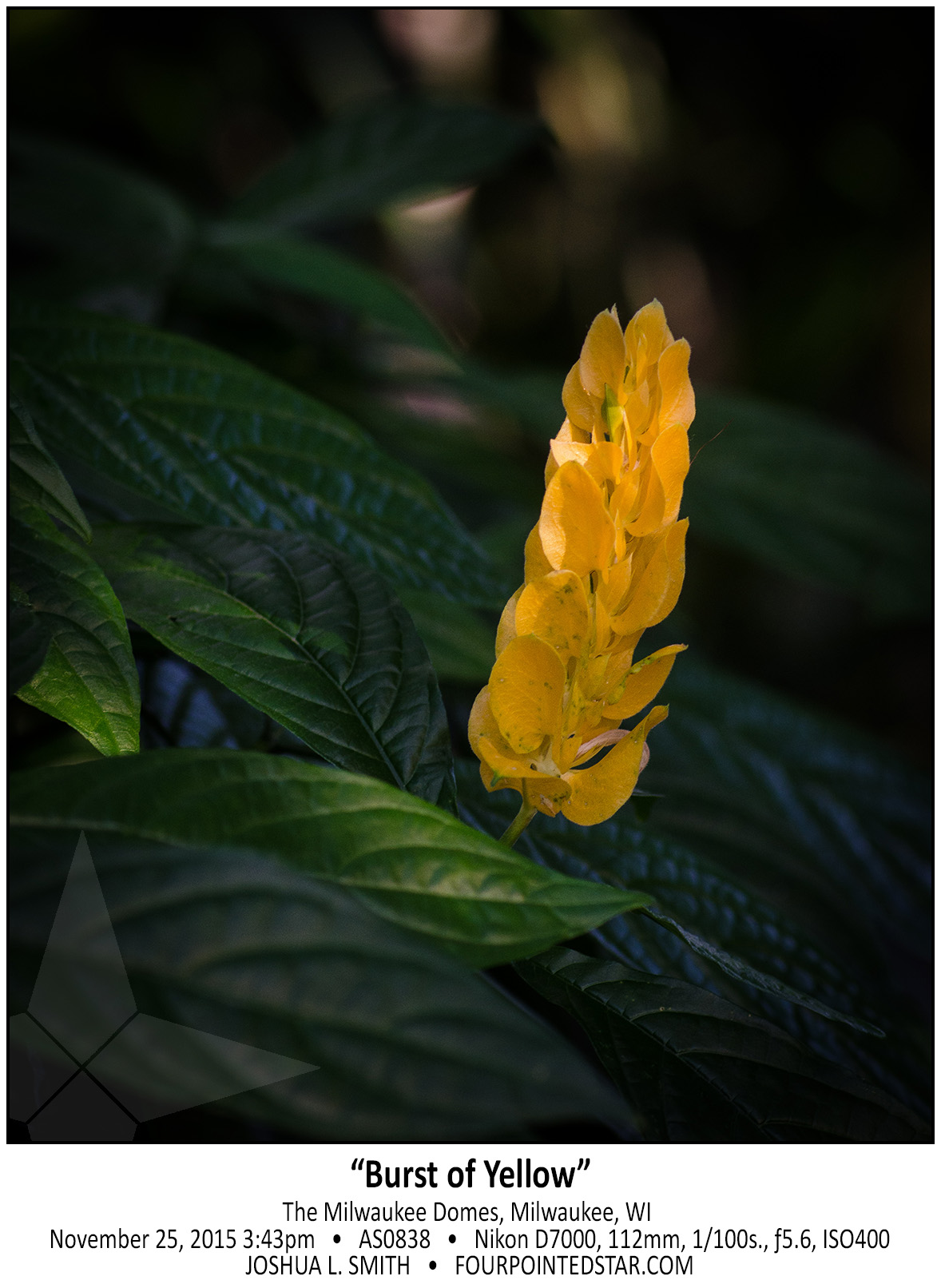 AS0838 171125 154346