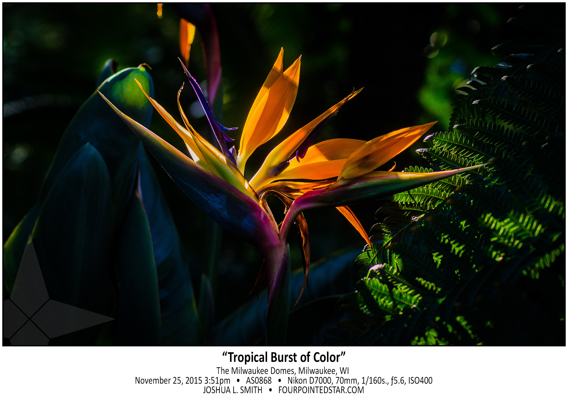 AS0868 171125 155108