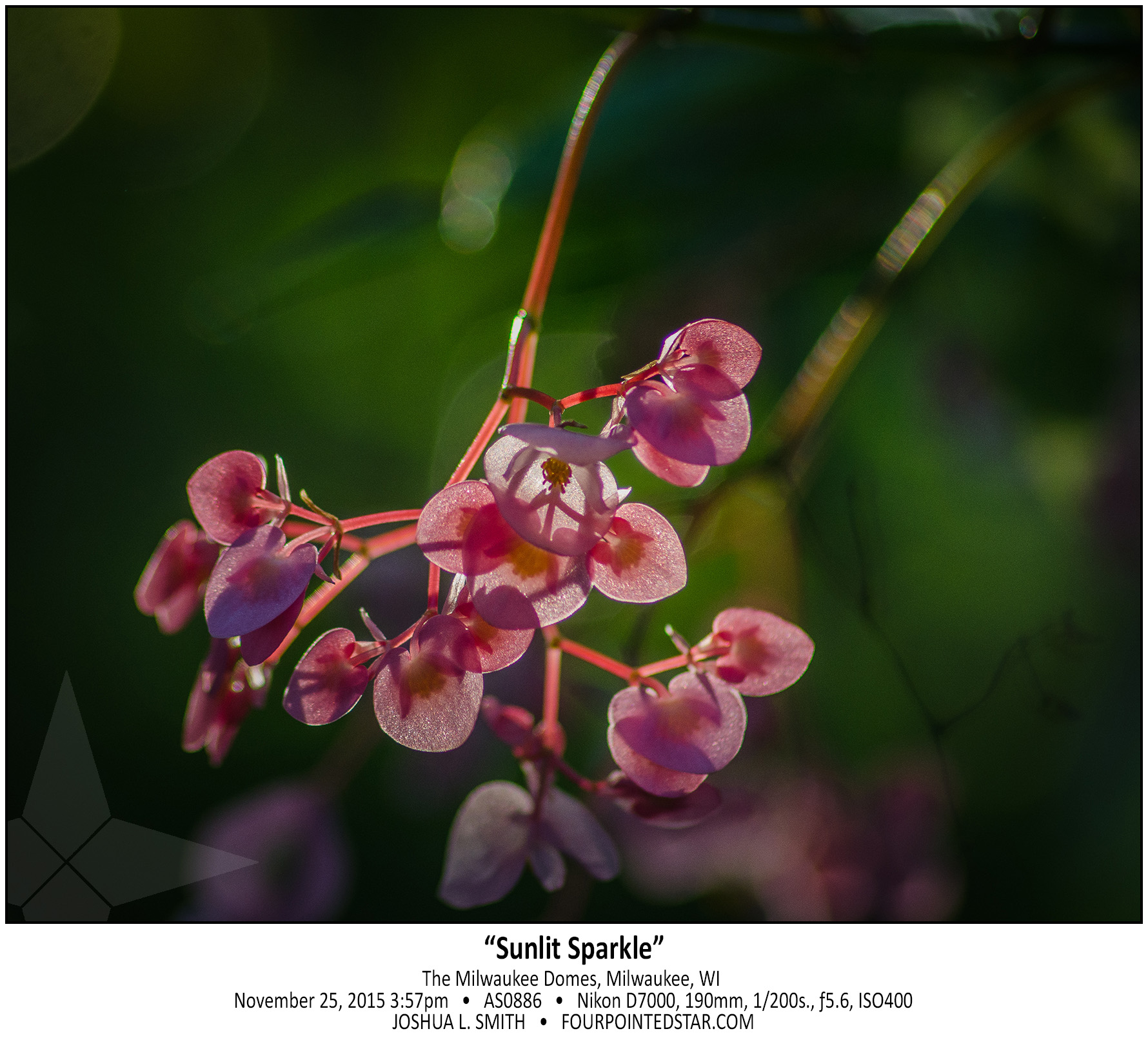 AS0886 171125 155722