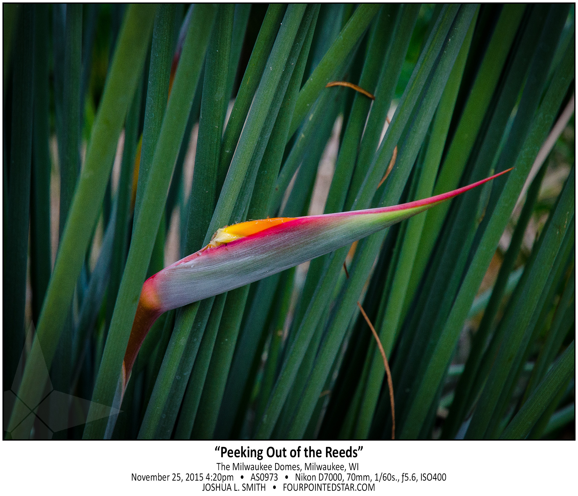 AS0973 171125 162057