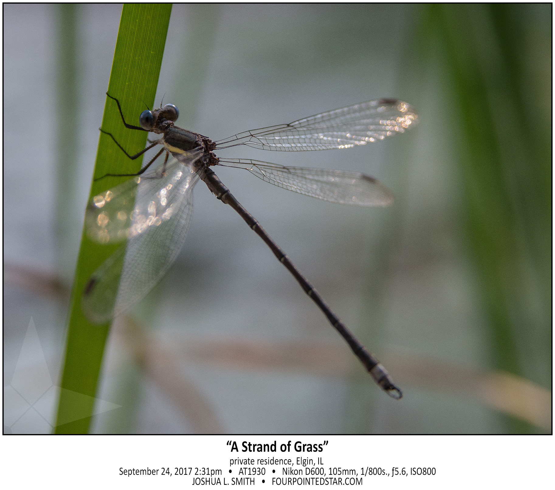 AT1930 170924 143159