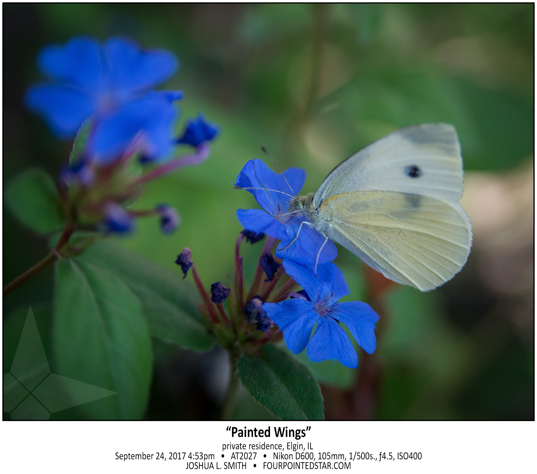 AT2027 170924 165316