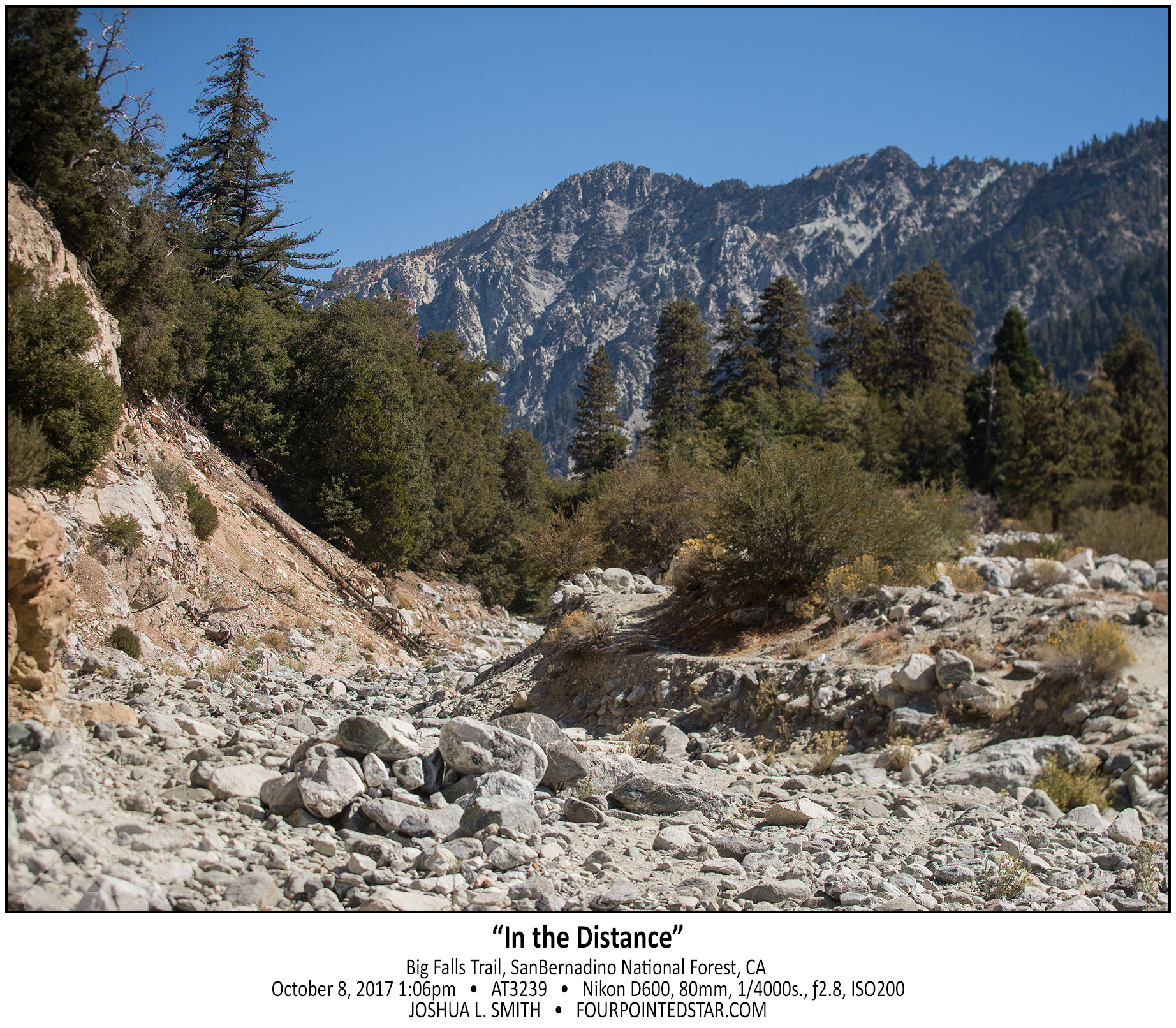 AT3239 171008 130621