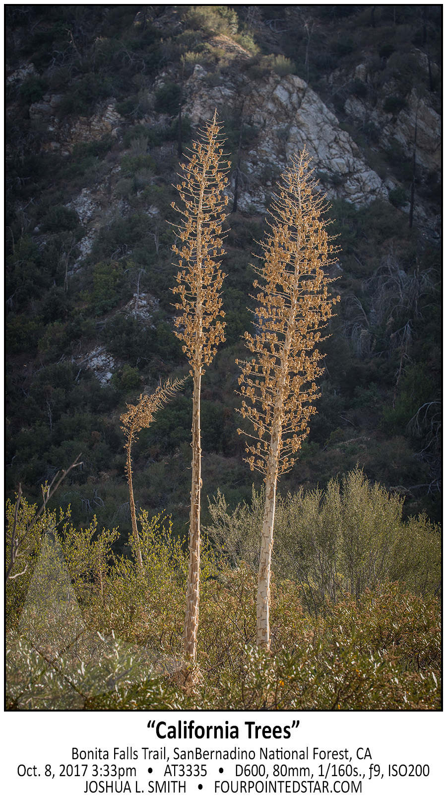 AT3335 171008 153301