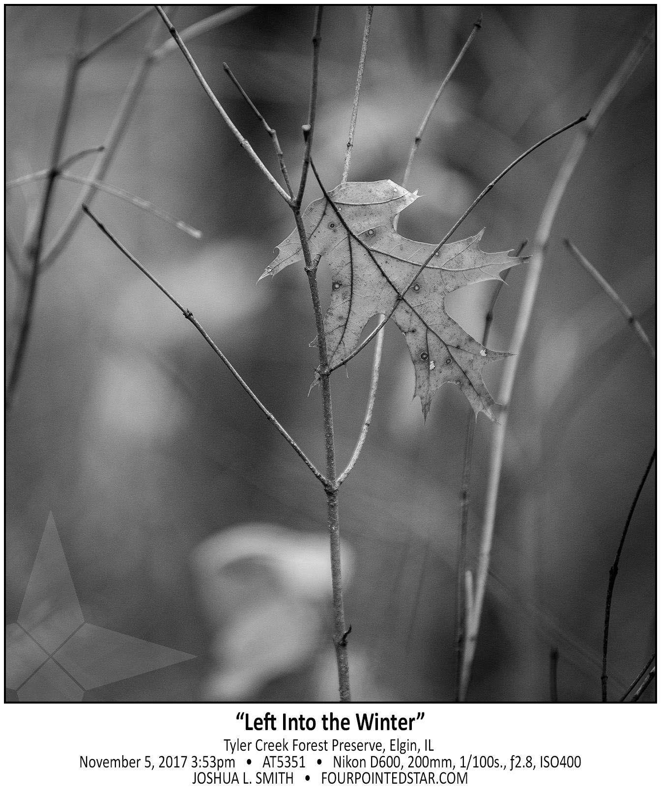 AT5351 171105 153528