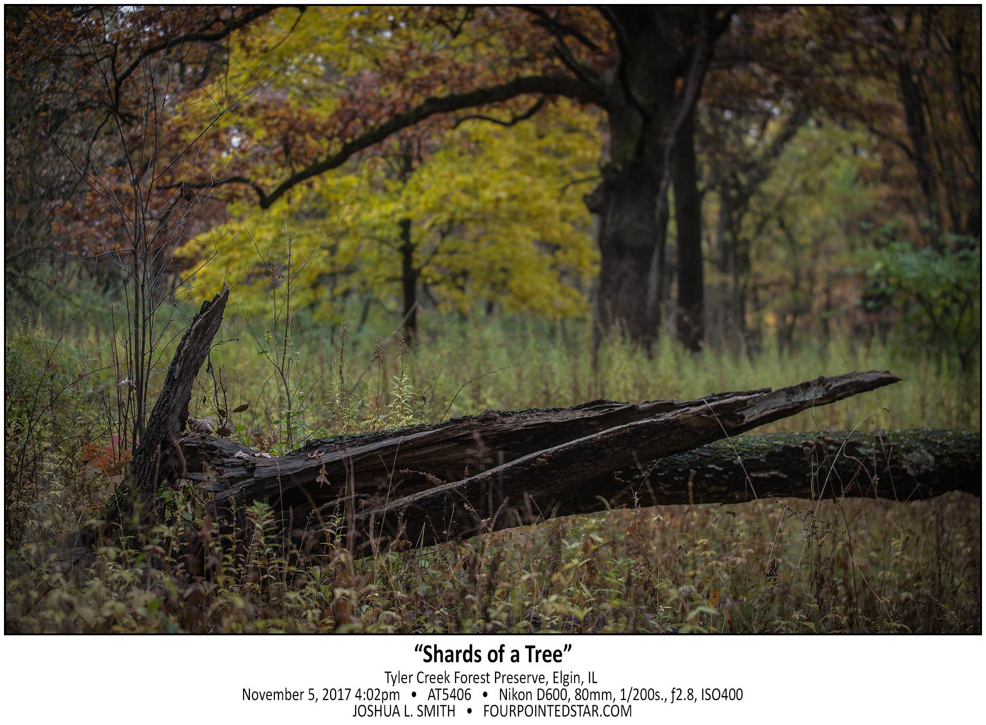 AT5406 171105 160230