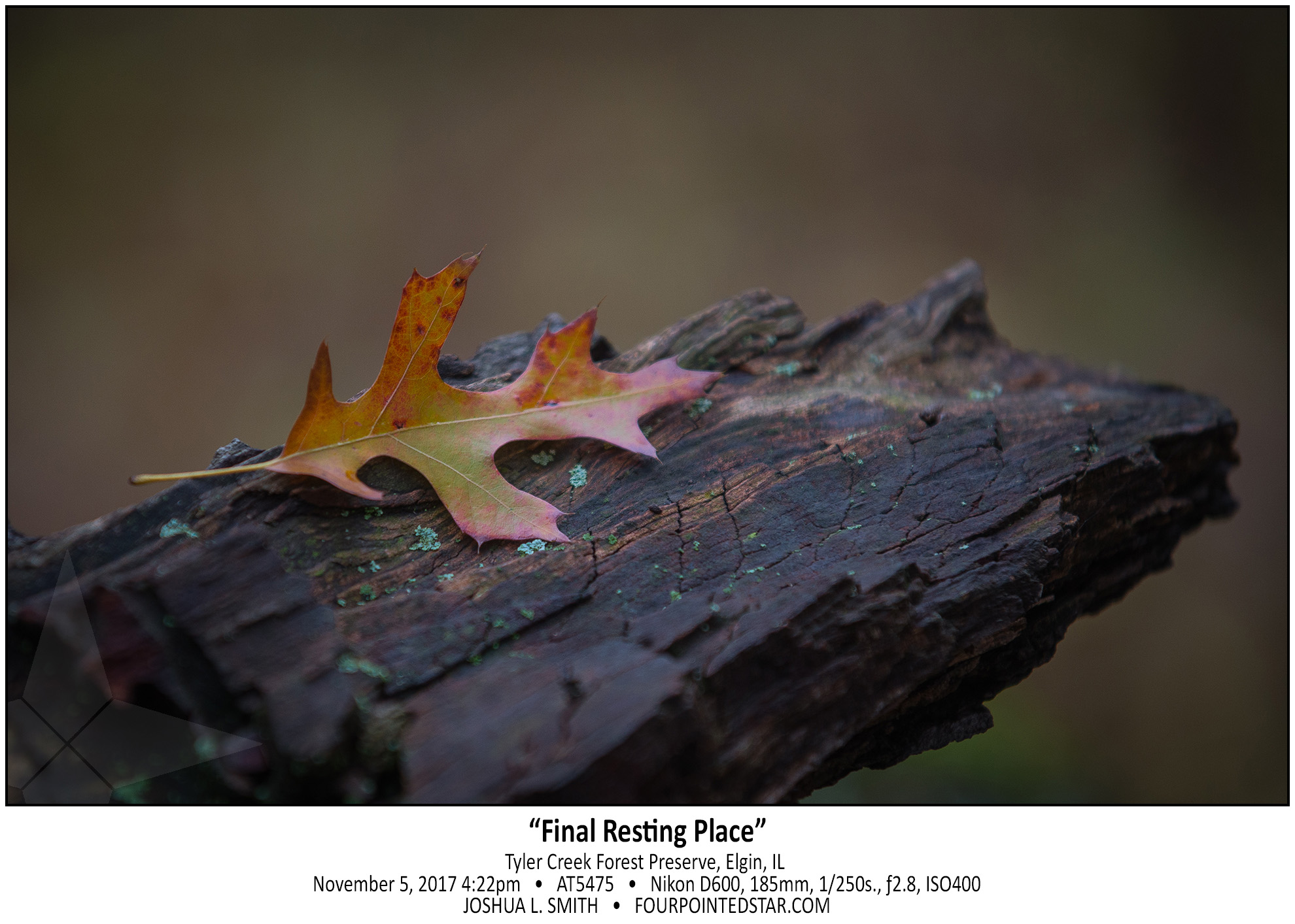 AT5475 171105 162208