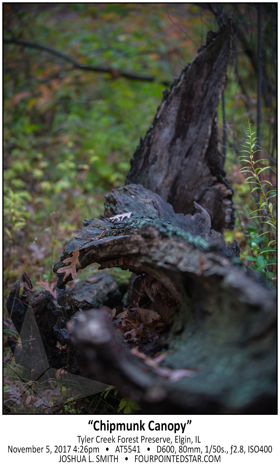 AT5541 171105 162611