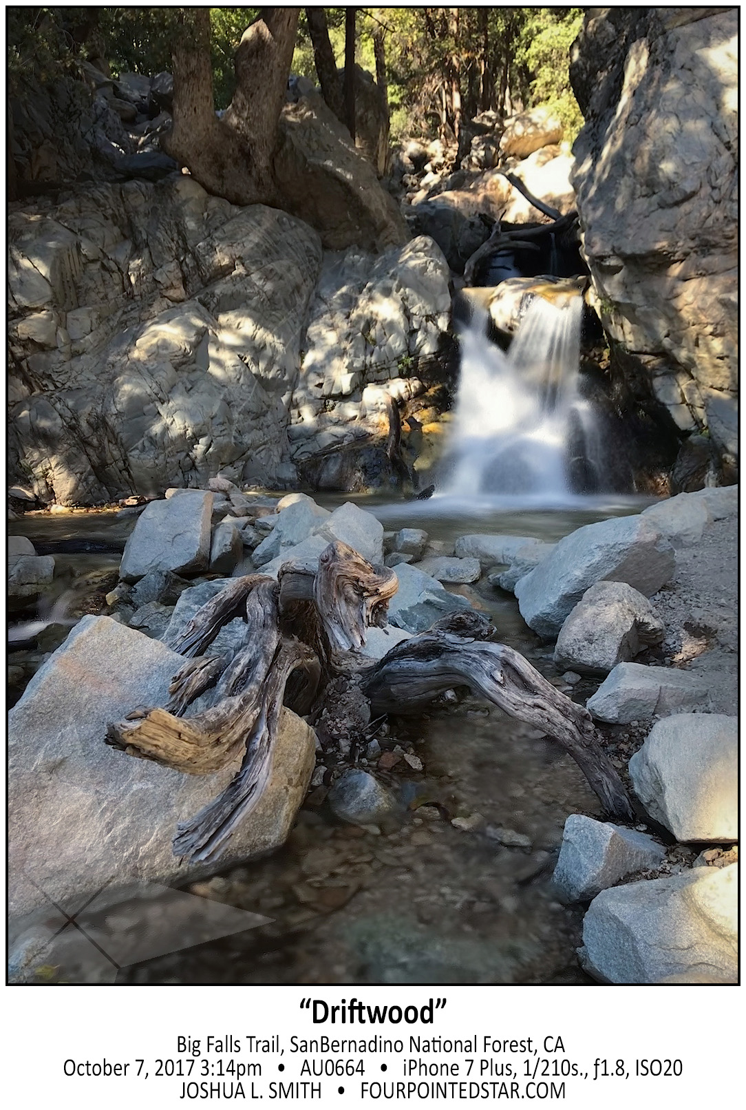 AU0664 1710007 151446