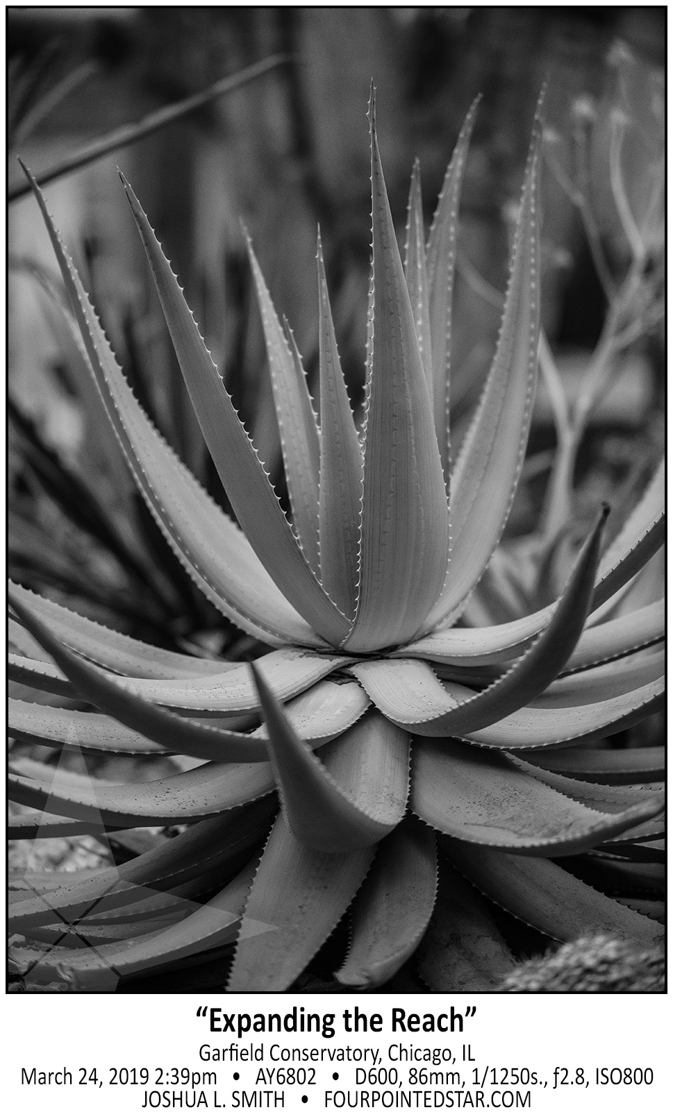 AY6802 190324 143923