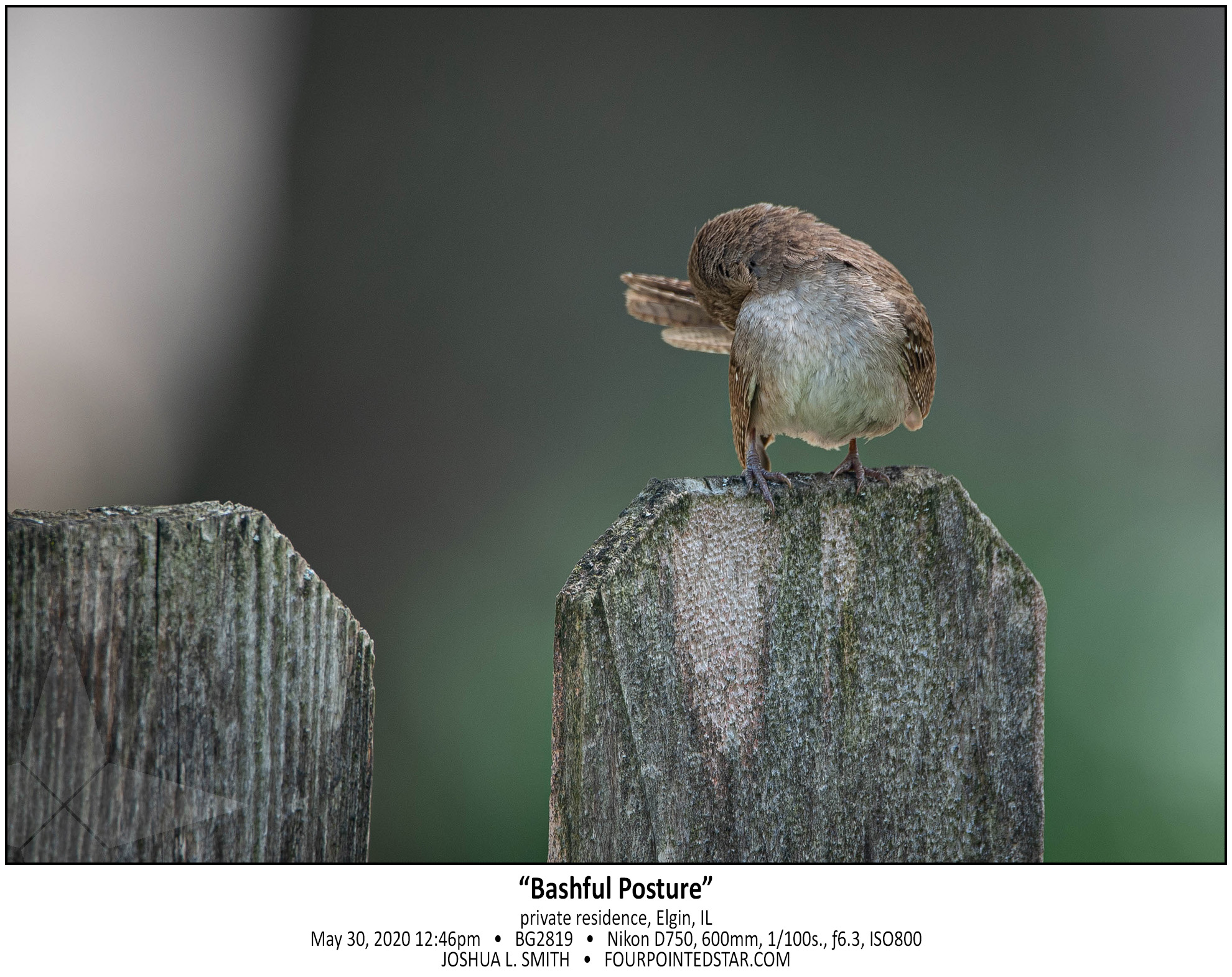 BG2819 200530 124649