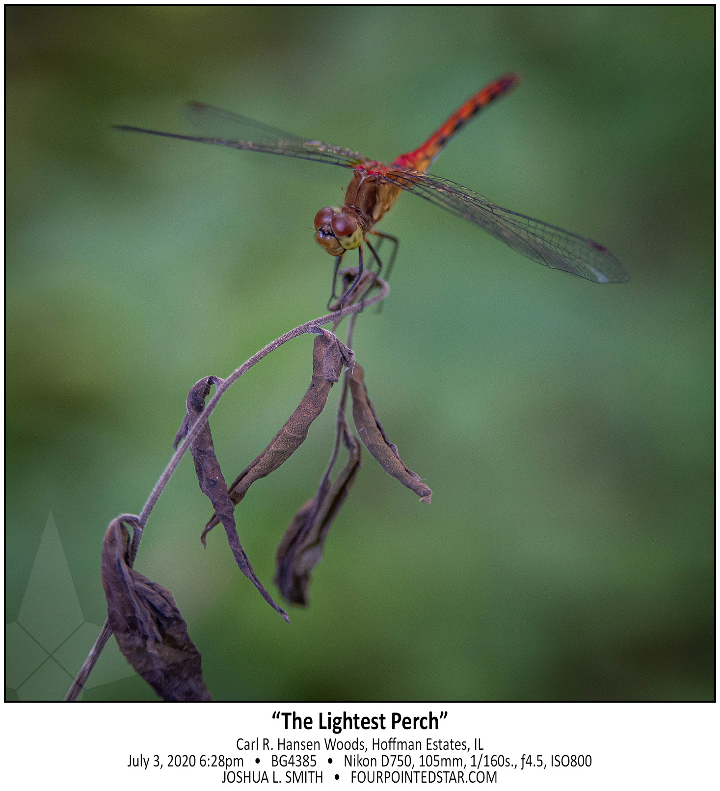 BG4385 200703 182825