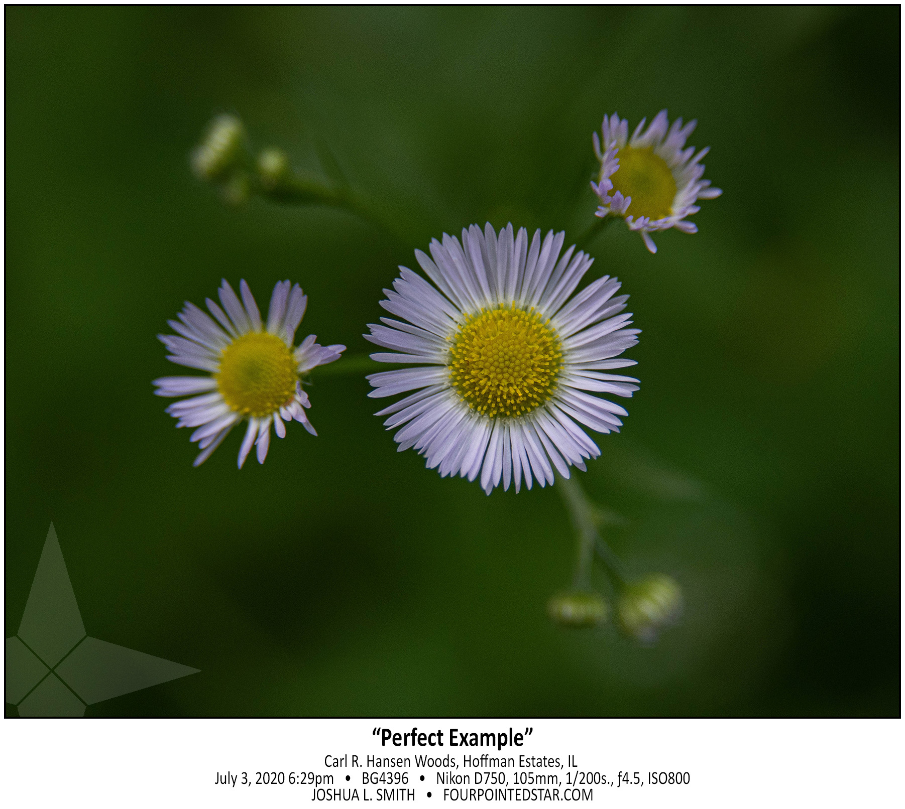 BG4396 200703 182947