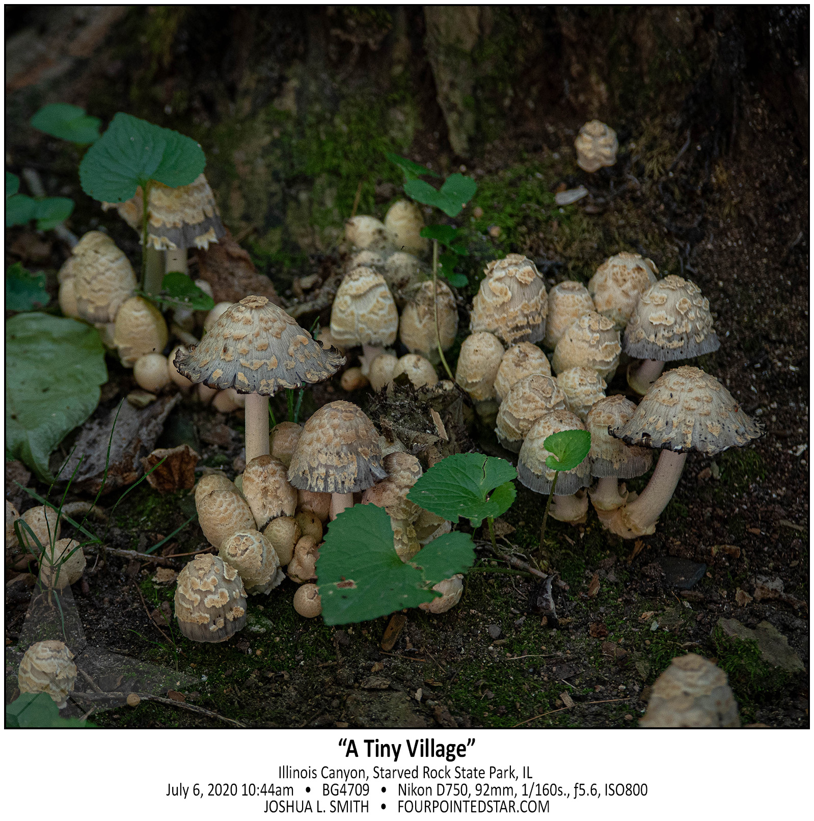 BG4709 200706 104424 copy