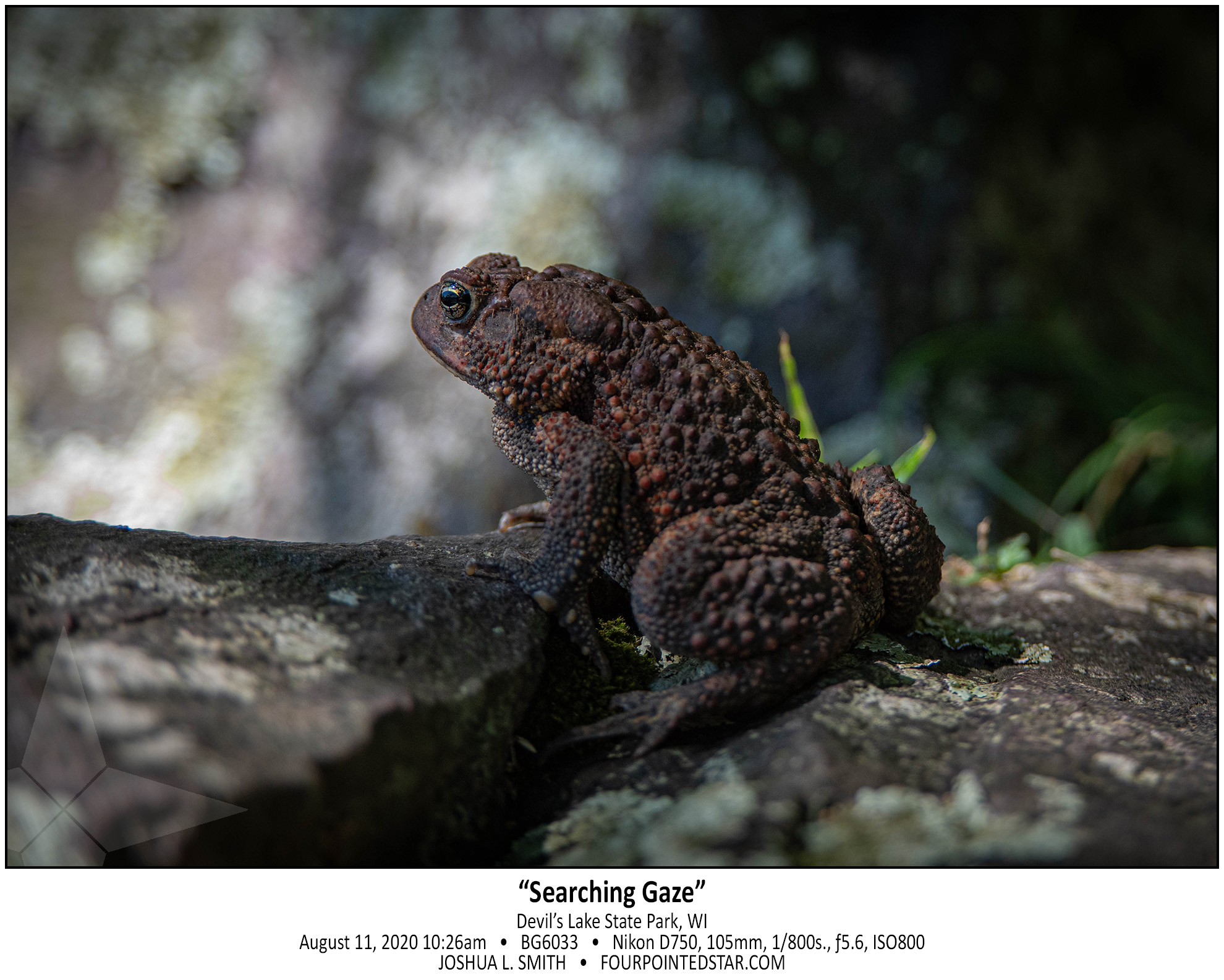 BG6033 200811 102658