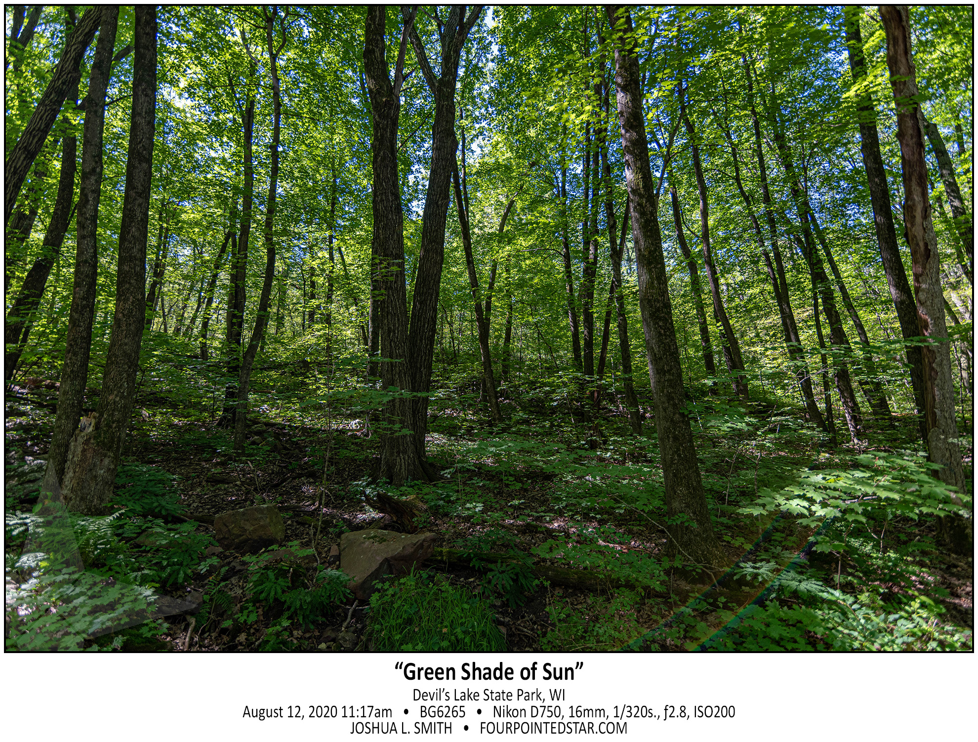 BG6265 200812 111712