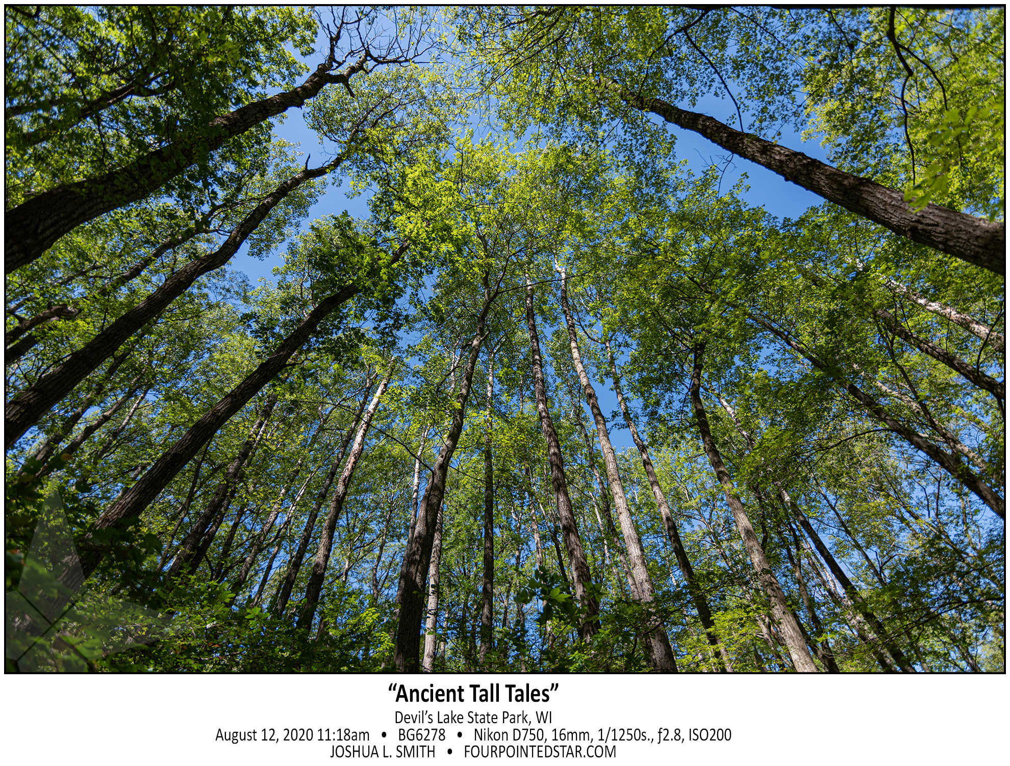 BG6278 200812 111858