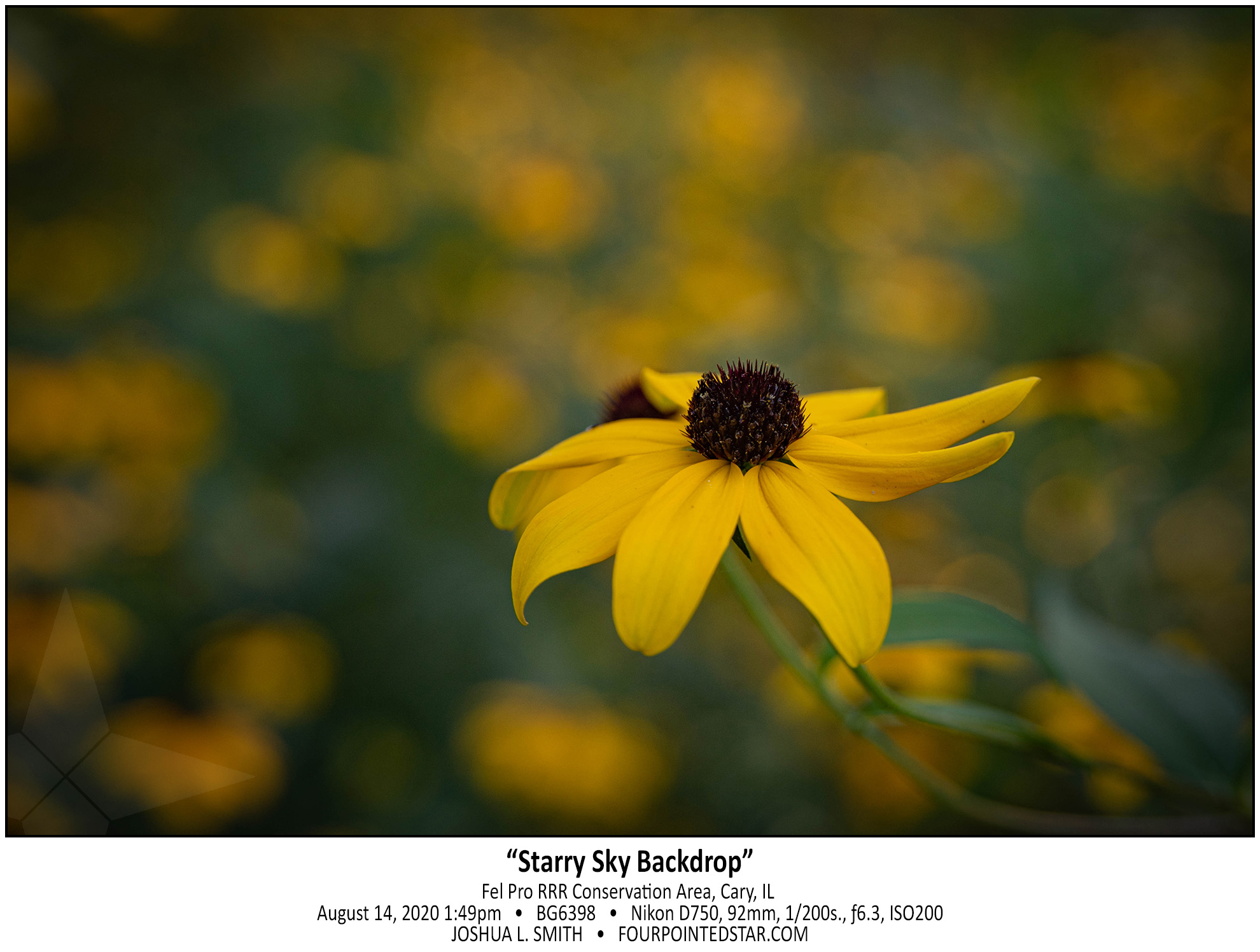 BG6398 200814 134926