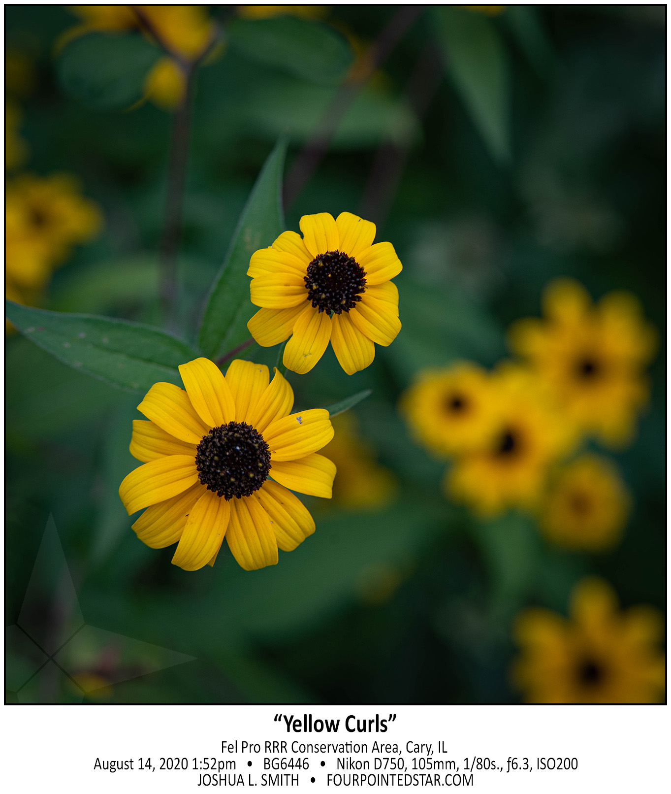 BG6446 200814 135254