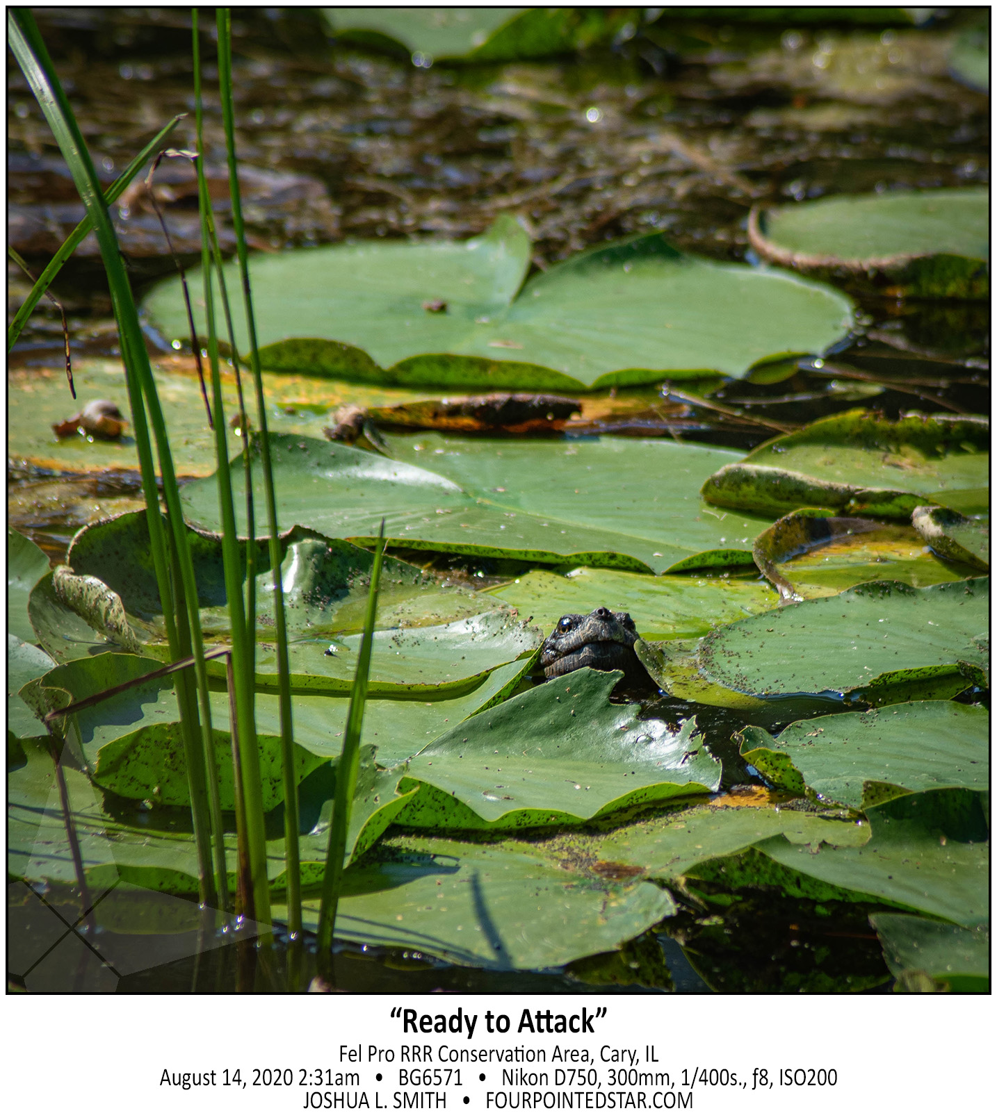 BG6571 200814 143142