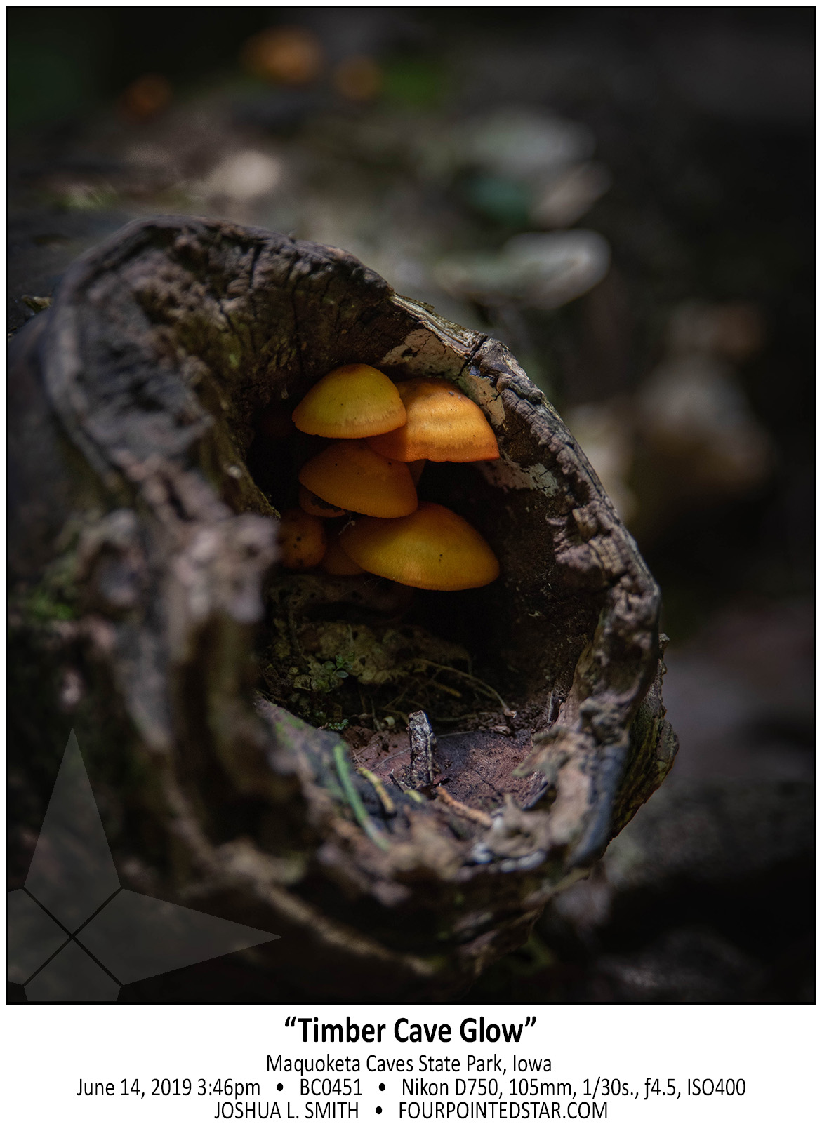 BC0451 190614 154641