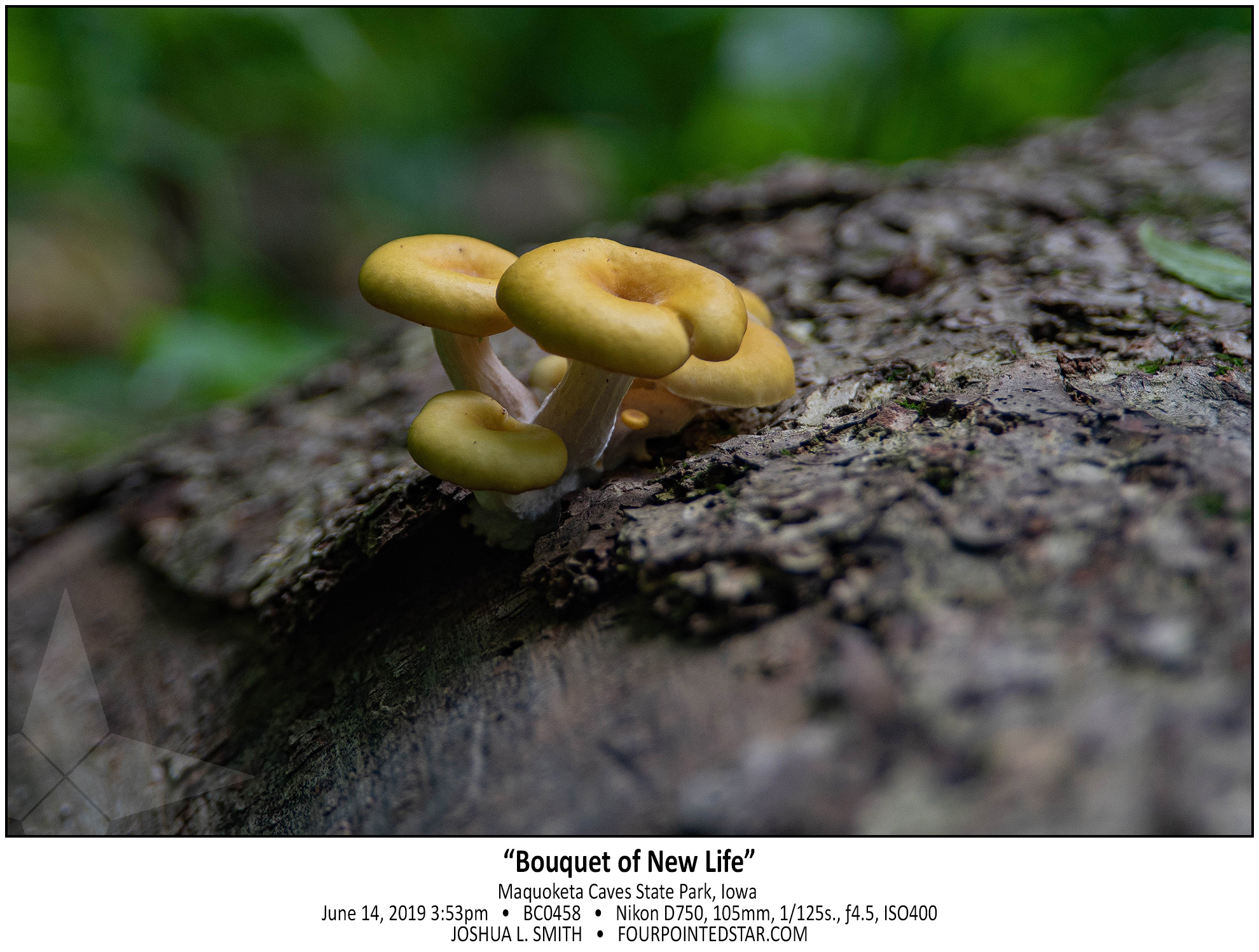 BC0458 190614 155329