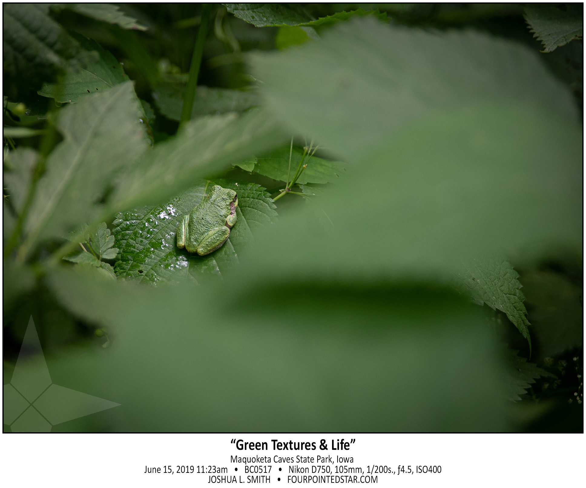 BC0517 190615 112314