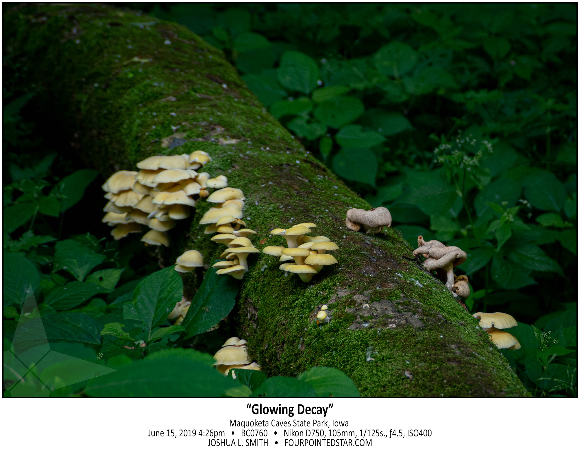 BC0760 190615 170829