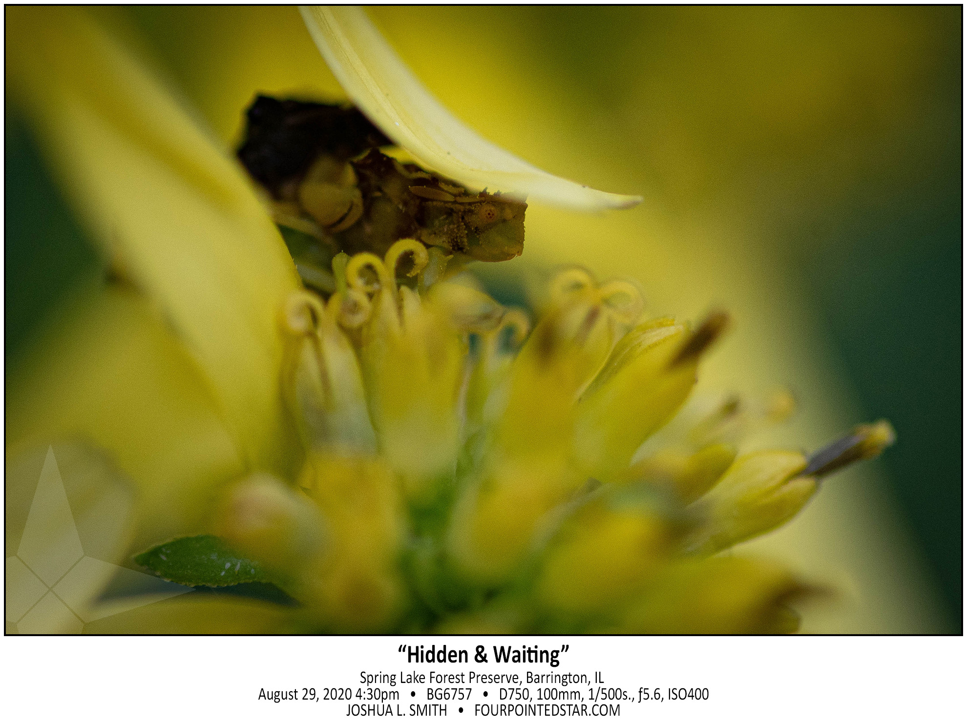 BG6757 200829 163008