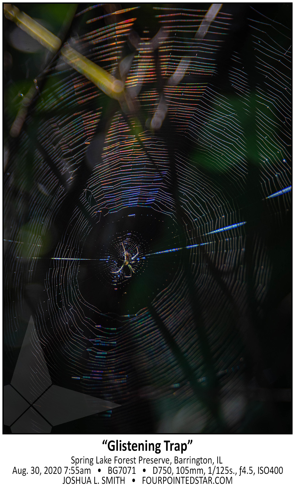 BG7071 200830 075539