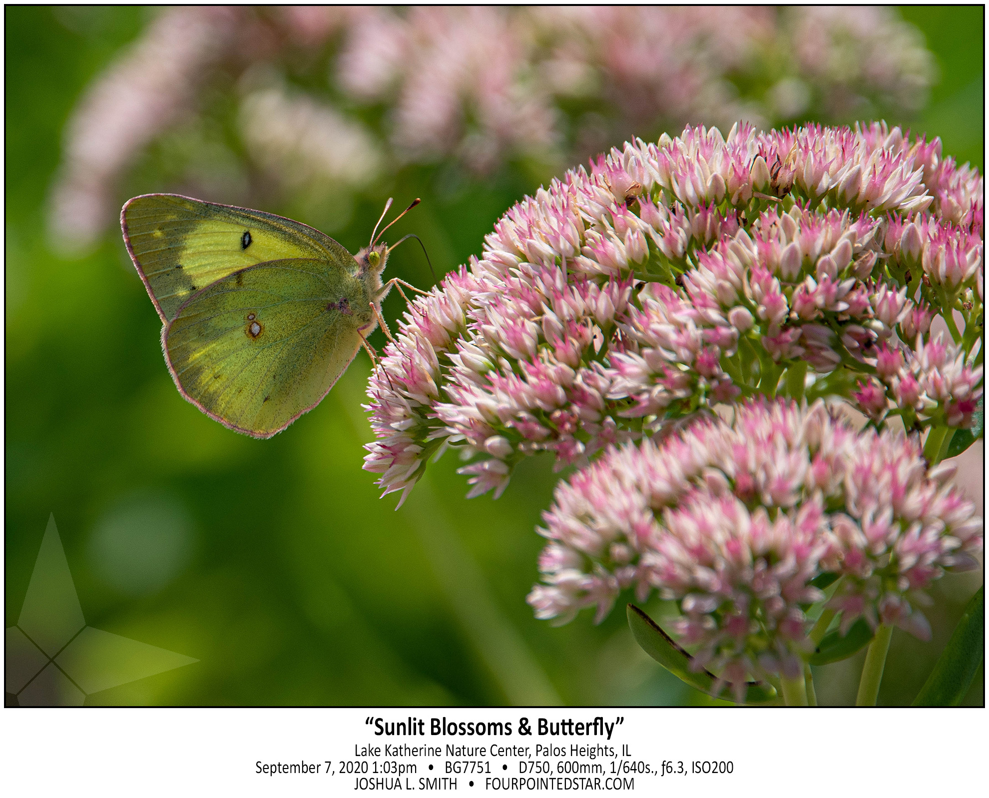 BG7751 200907 130350