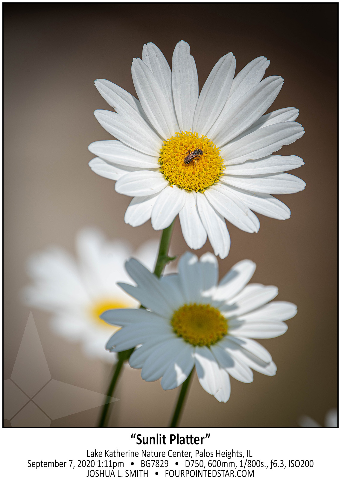 BG7829 200907 131115