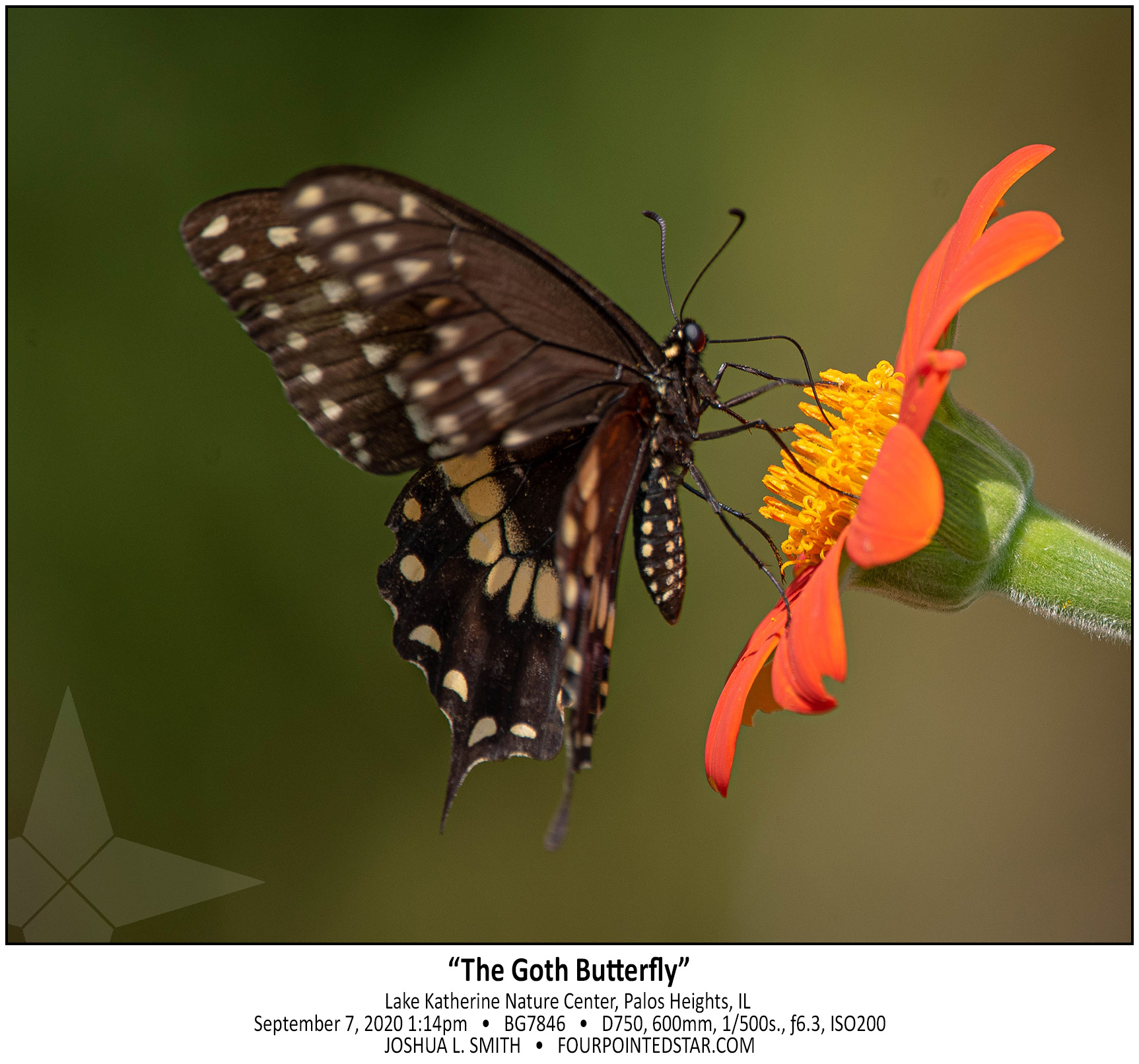 BG7846 200907 131417