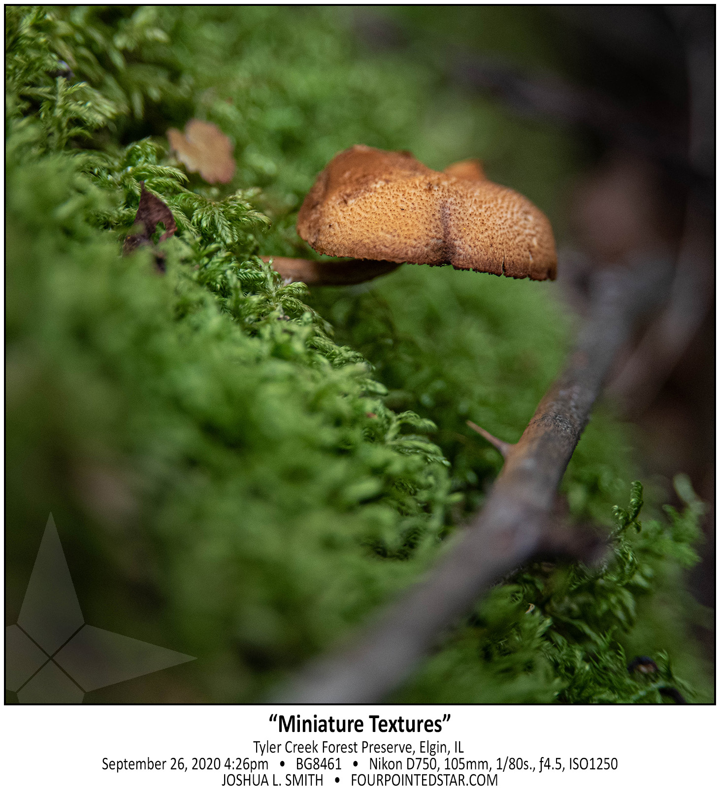 BG8461 200916 142601