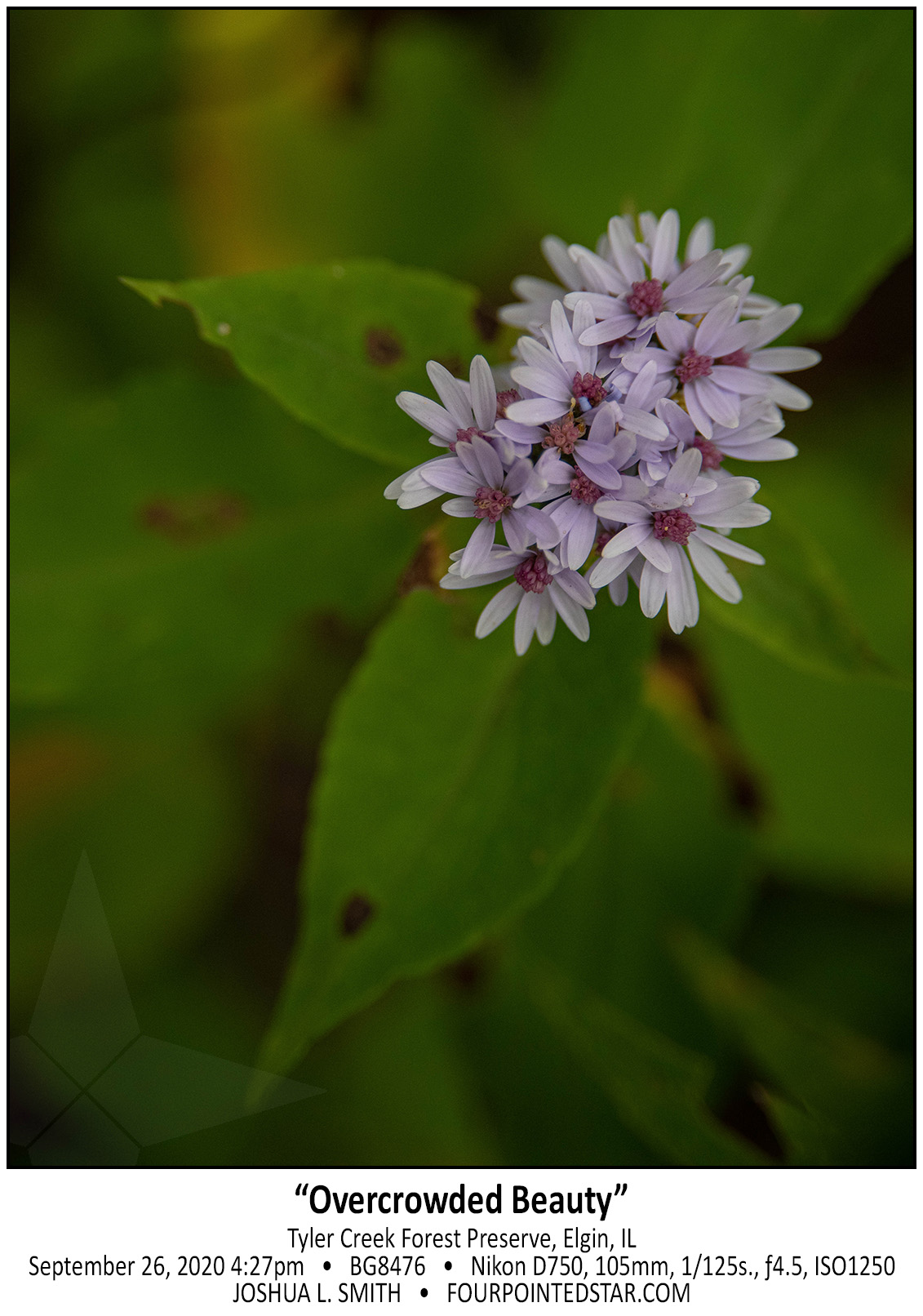 BG8476 200926 162725