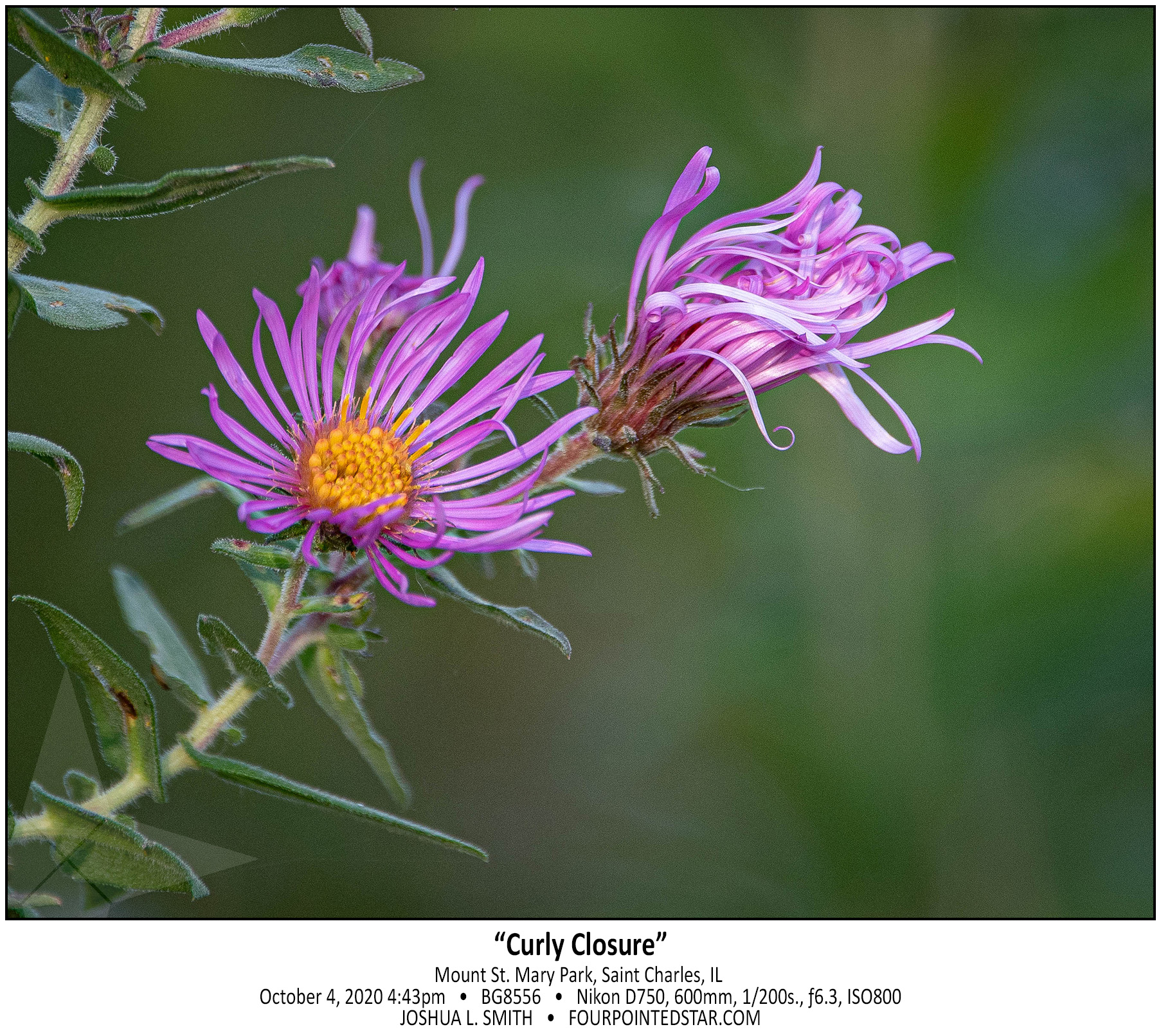 BG8556 201004 164305