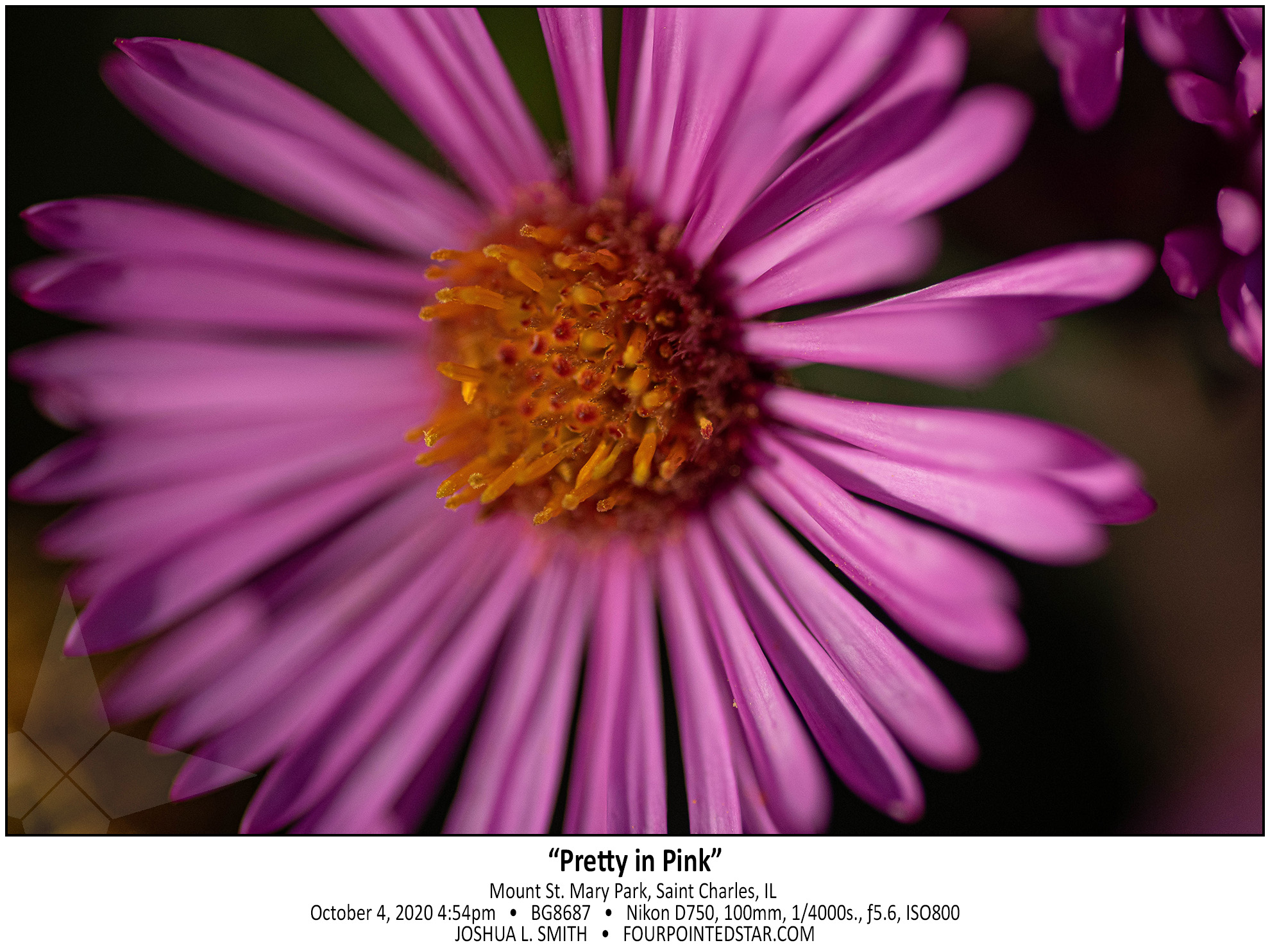 BG8687 201004 165415