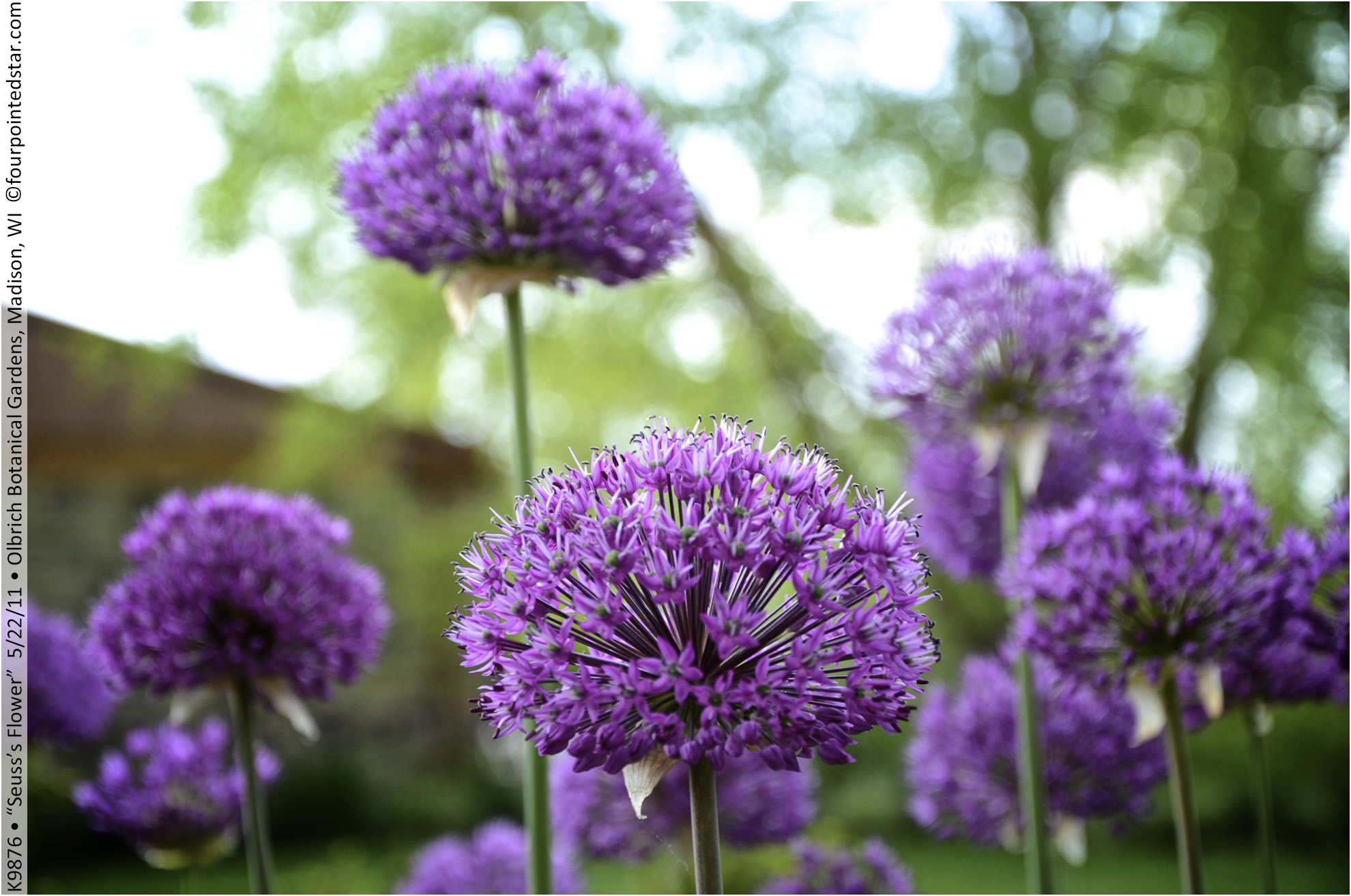 K9876 110522 154221 copy