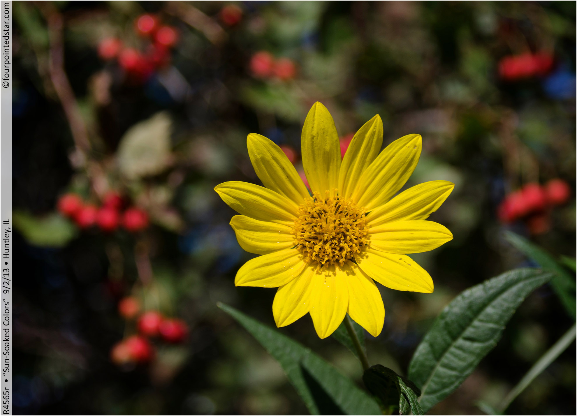 R4565r 130902 145153