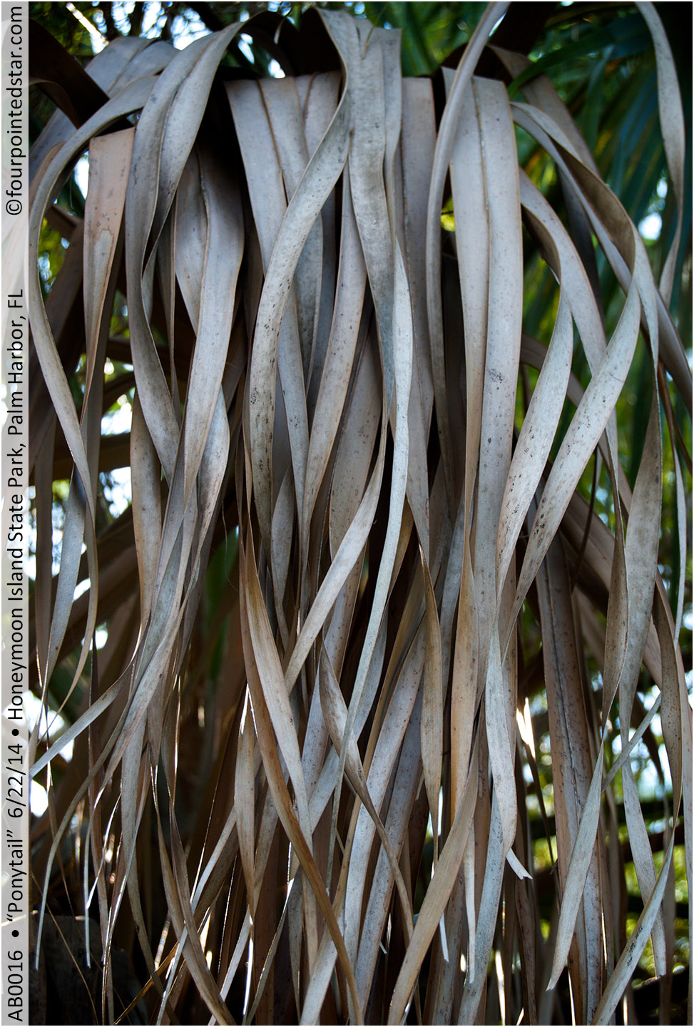 AB0016 140622 084808