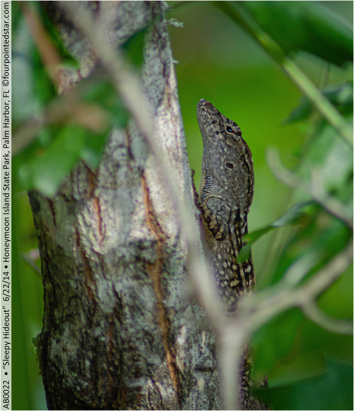 AB0020 140622 085019